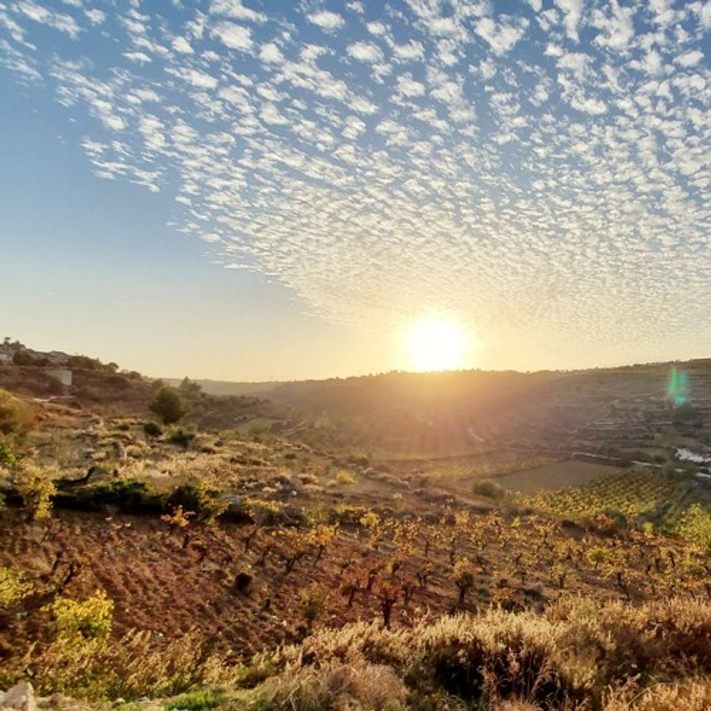 The Yishai Fleisher Israel Podcast