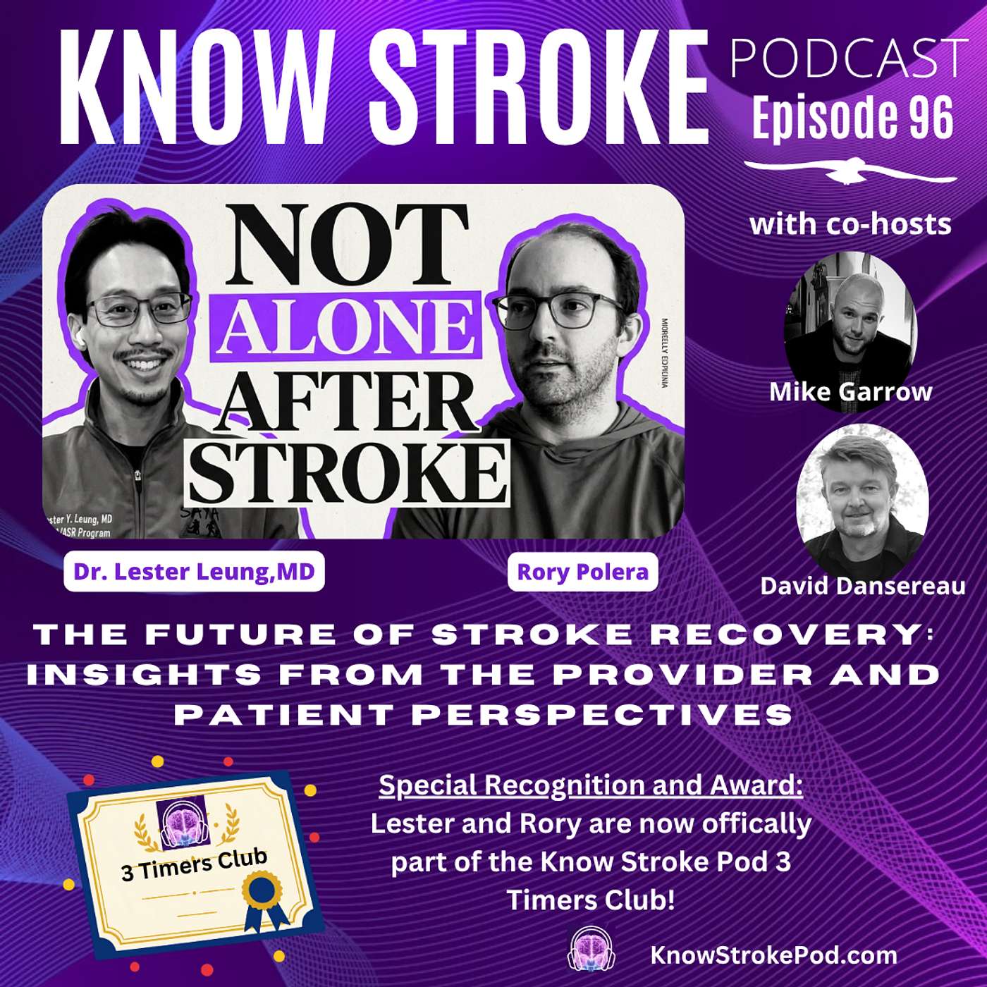The Future of Stroke Recovery: Insights from the Provider and Patient Perspective episode artwork
