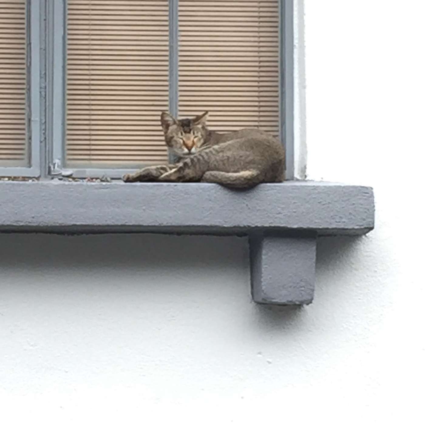 Architecture Practice: A chat on Part 3 (LAM) & finding jobs