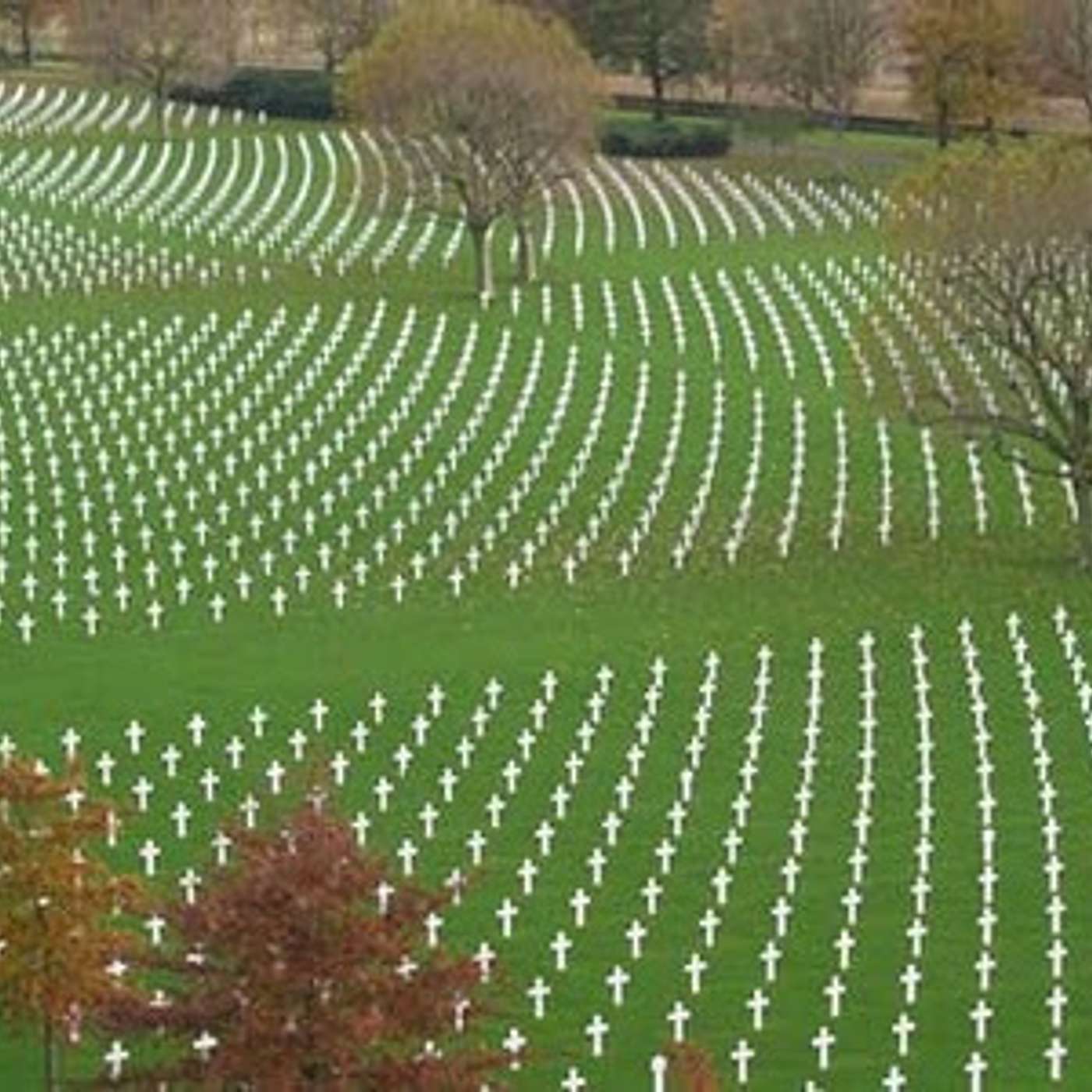 Remembering the 500,000