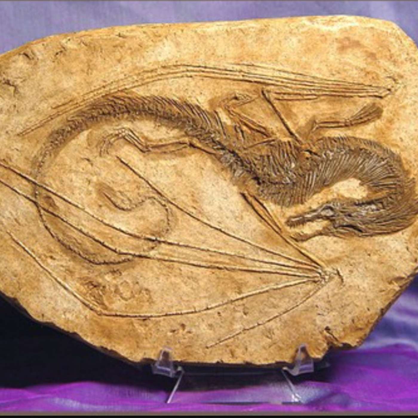 Llizard Gods of Hawaii (Mo’o)  and The God's Helmet