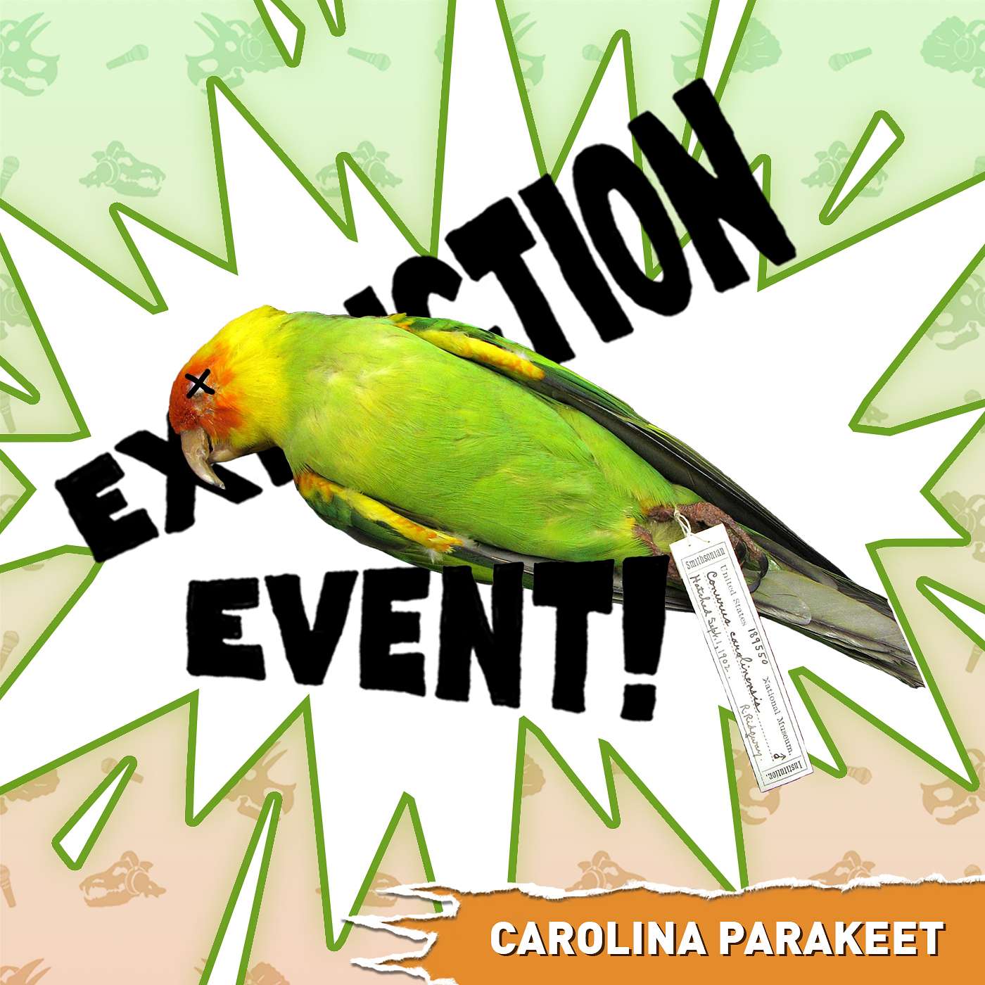 Carolina Parakeet