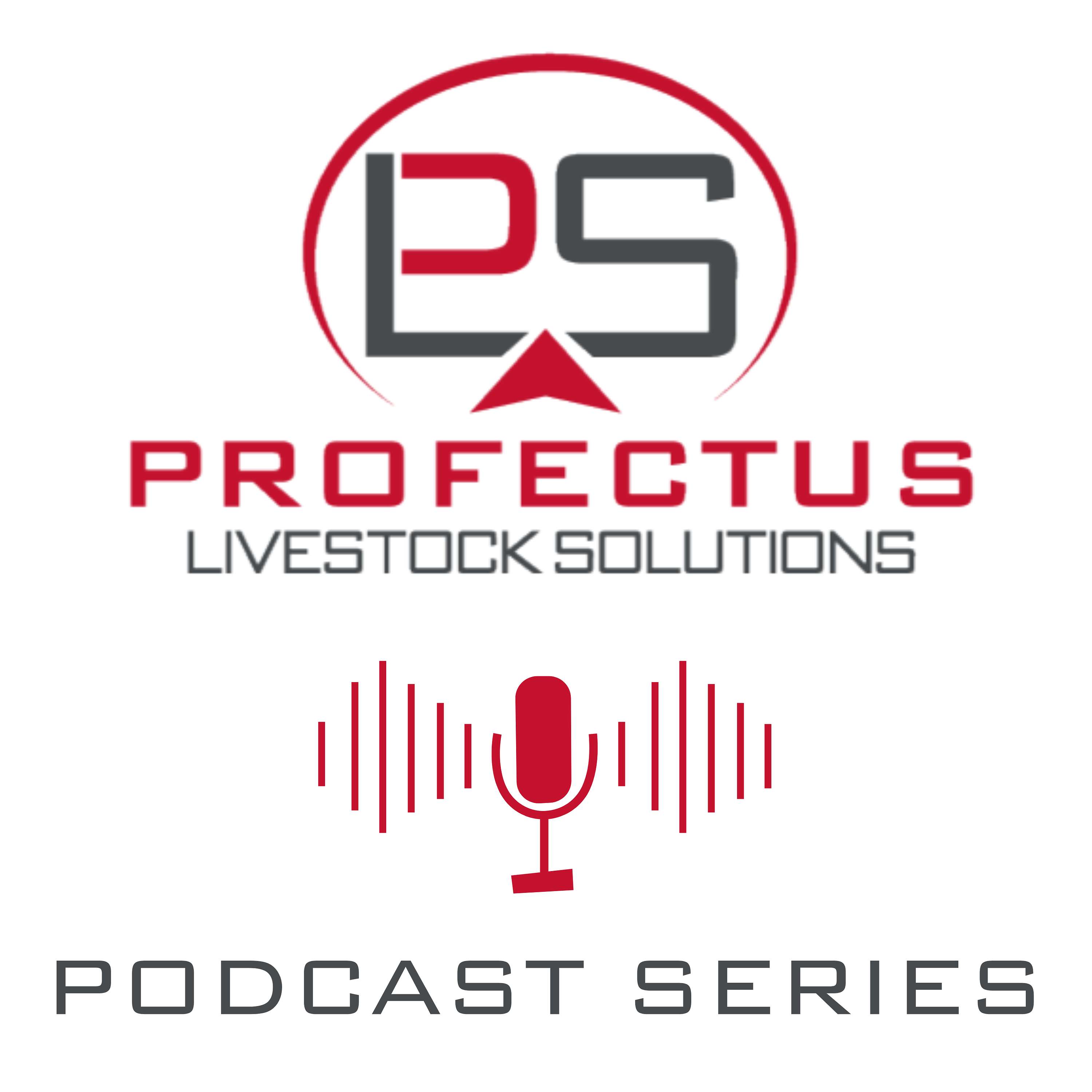 Ahead of the Herd: The Profectus Podcasts