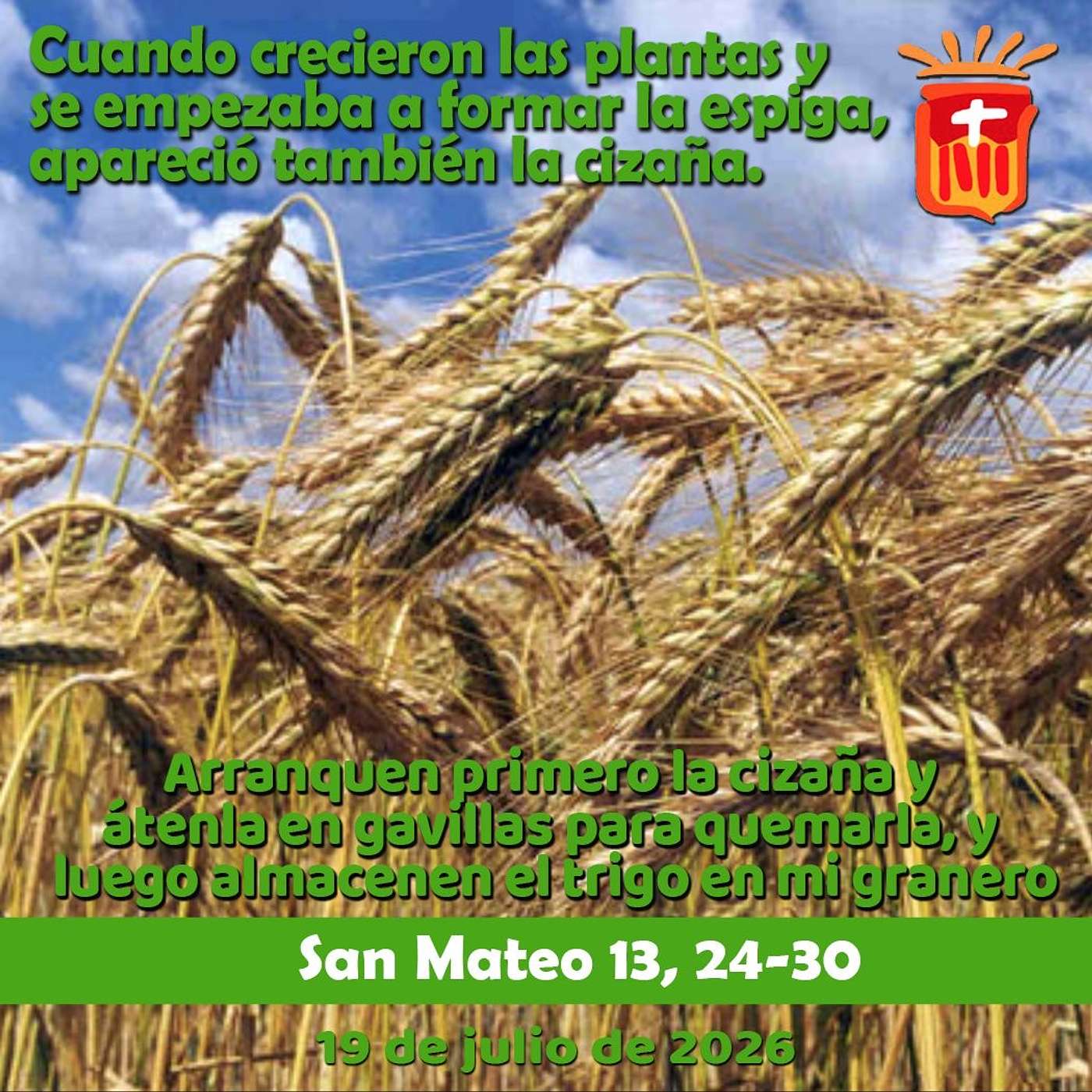 2026-07-19 San Mateo 13, 24-30 Domingo XVI Ordinario