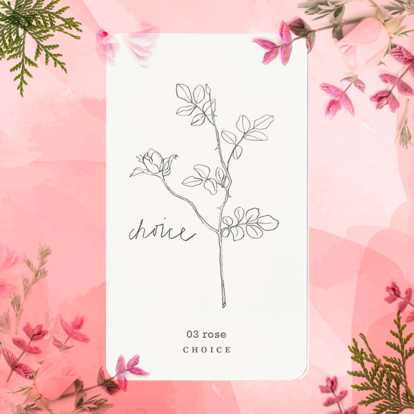 Gratitude Blooming Podcast