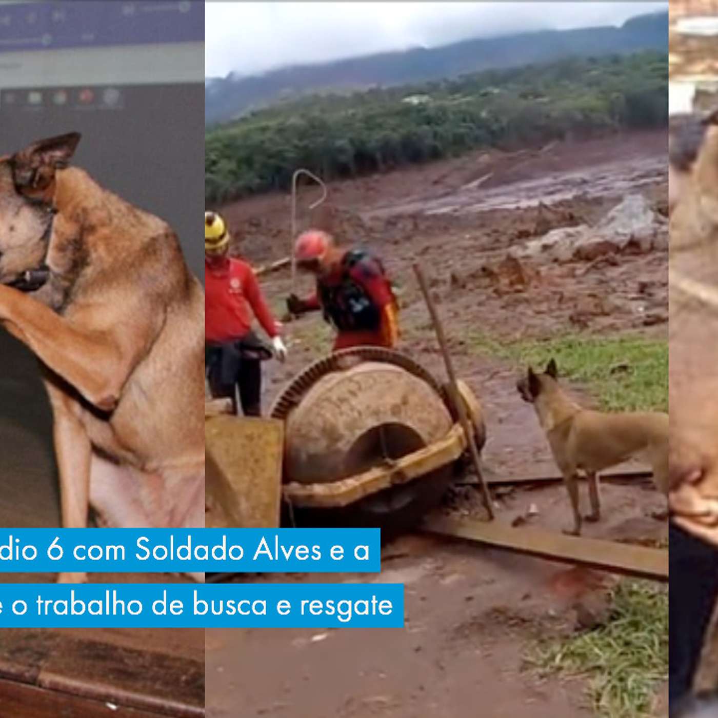 Vida de Cão: Episódio 6 com Soldado Alves e a Brida - busca e resgate com cães.