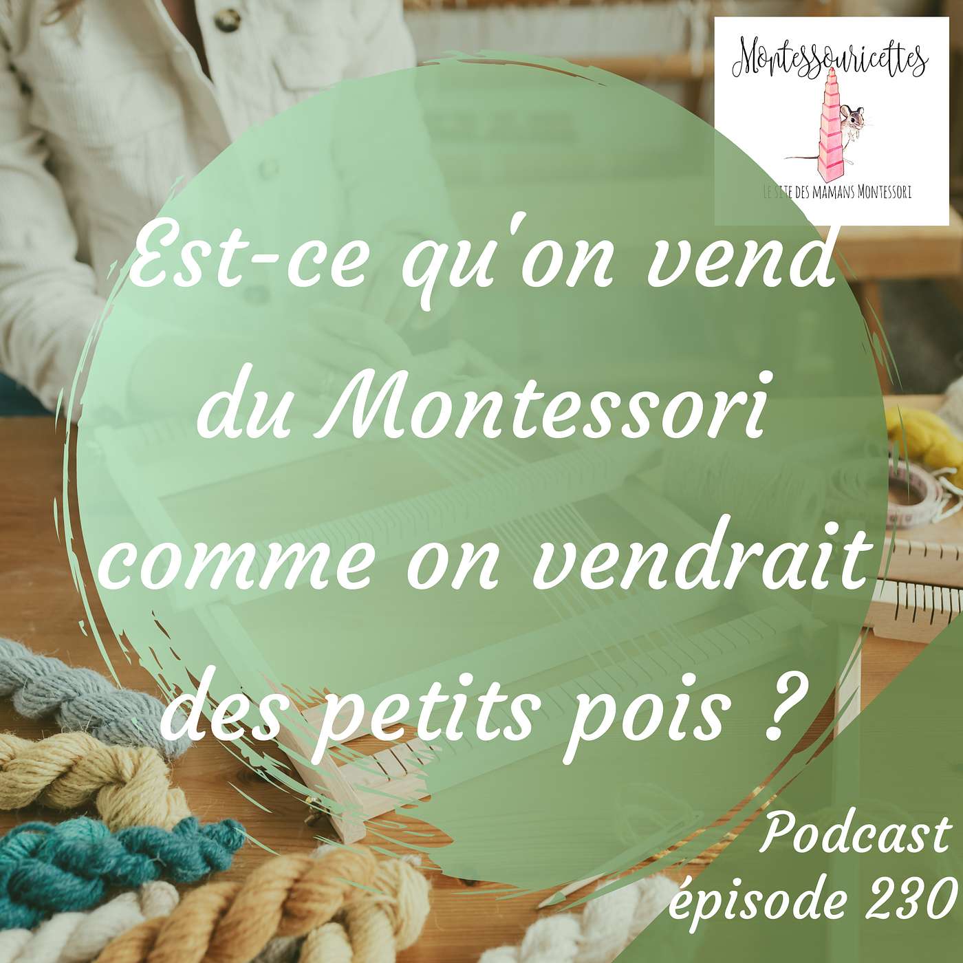 230. Est-ce qu'on vend du Montessori comme on vendrait des petits pois ? episode artwork