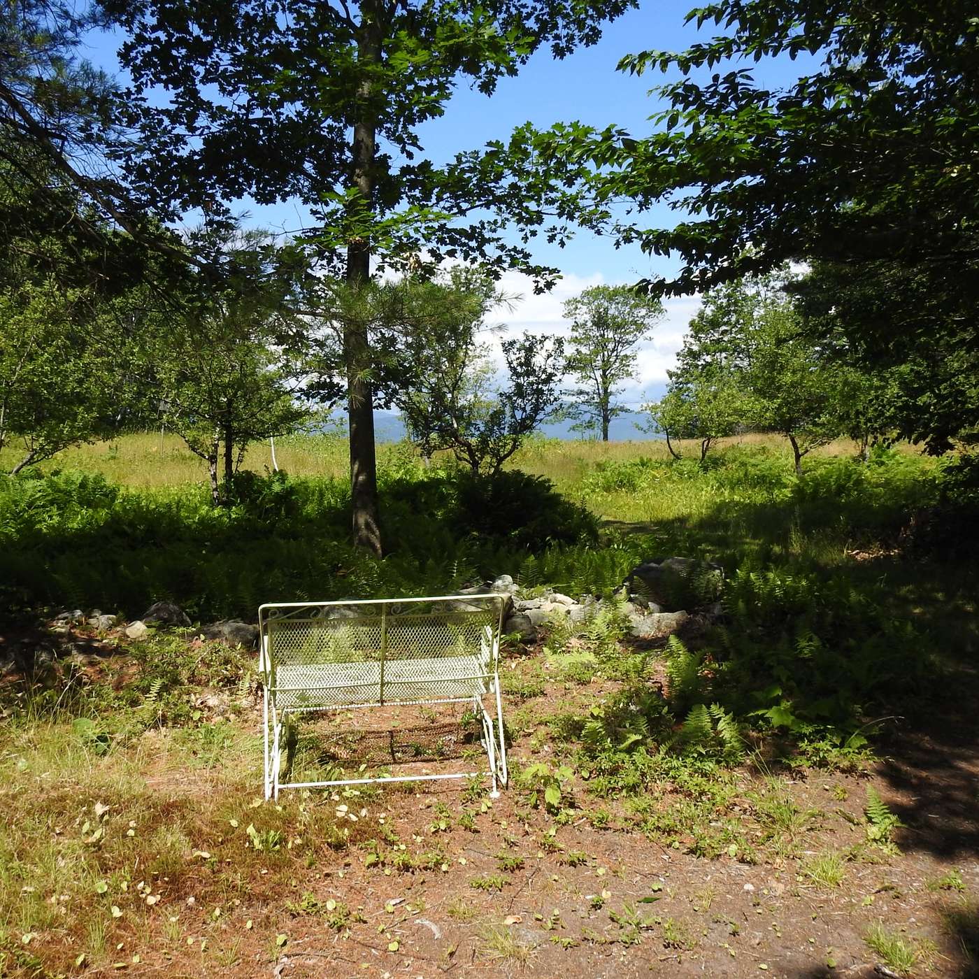 SEAT OF THE DAY