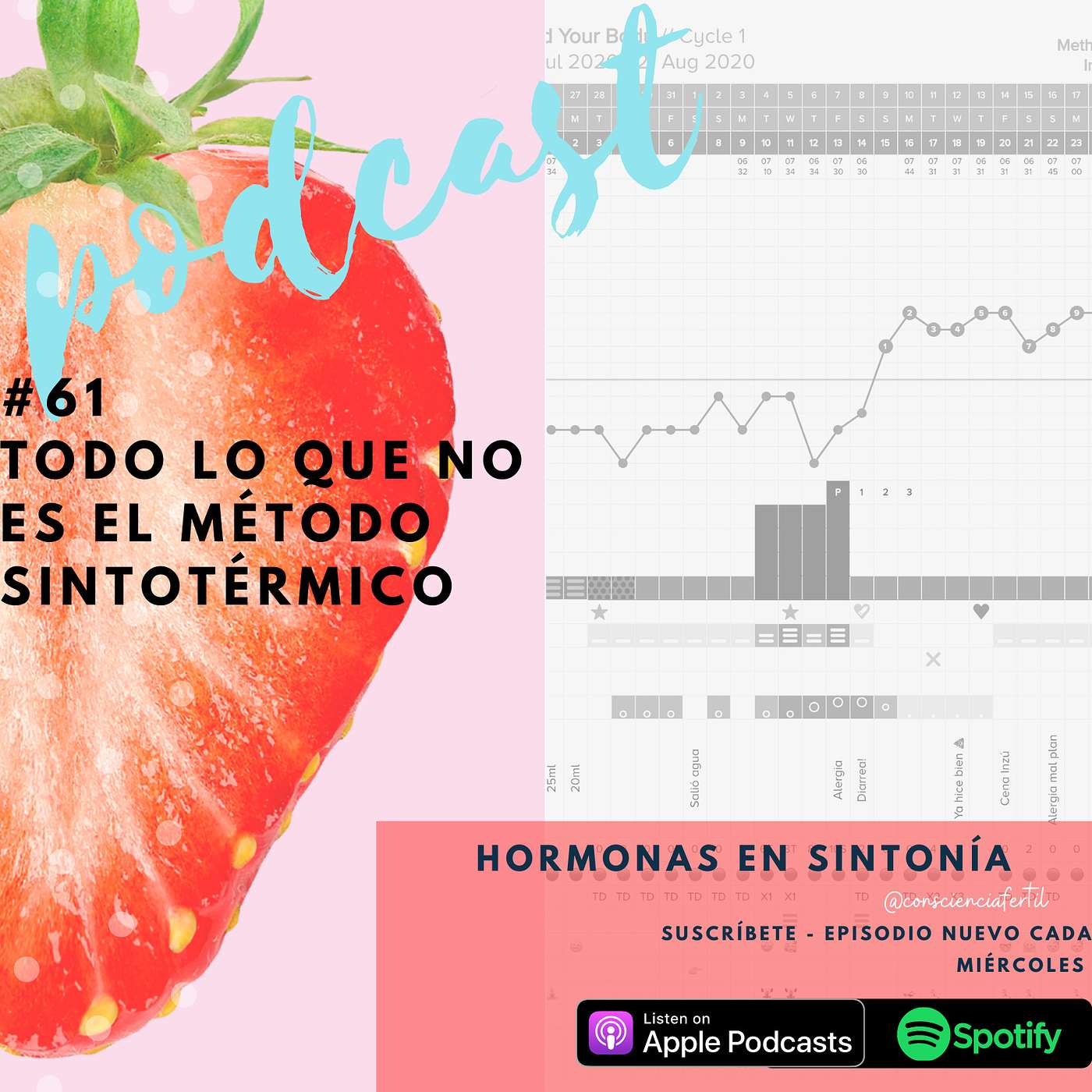 E 61: Todo lo que no es el Método Sintotérmico