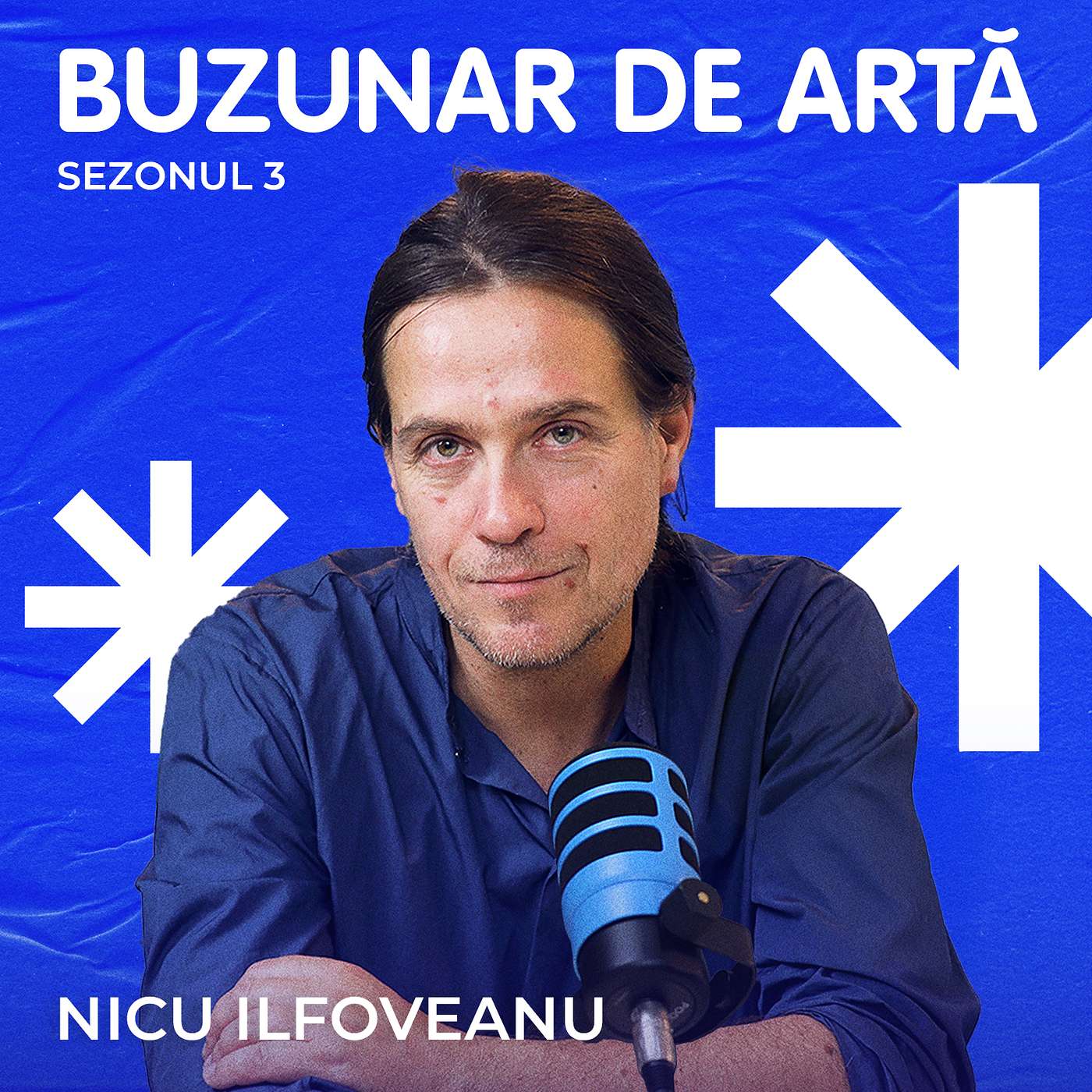 Buzunar de Artă, S3 Ep 2 - Nicu Ilfoveanu