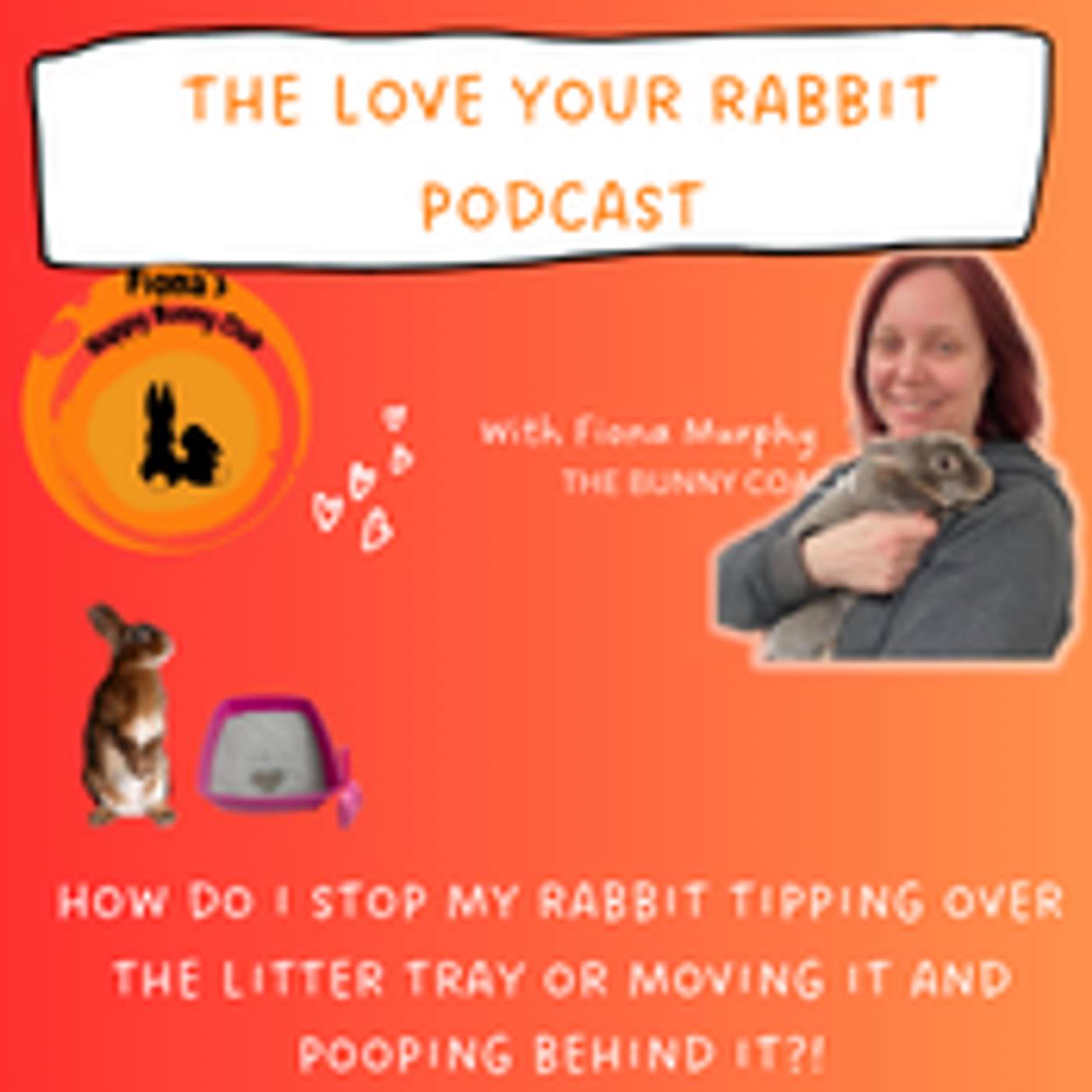 The Love Your Rabbit Podcast with Fiona Murphy, The Bunny Coach