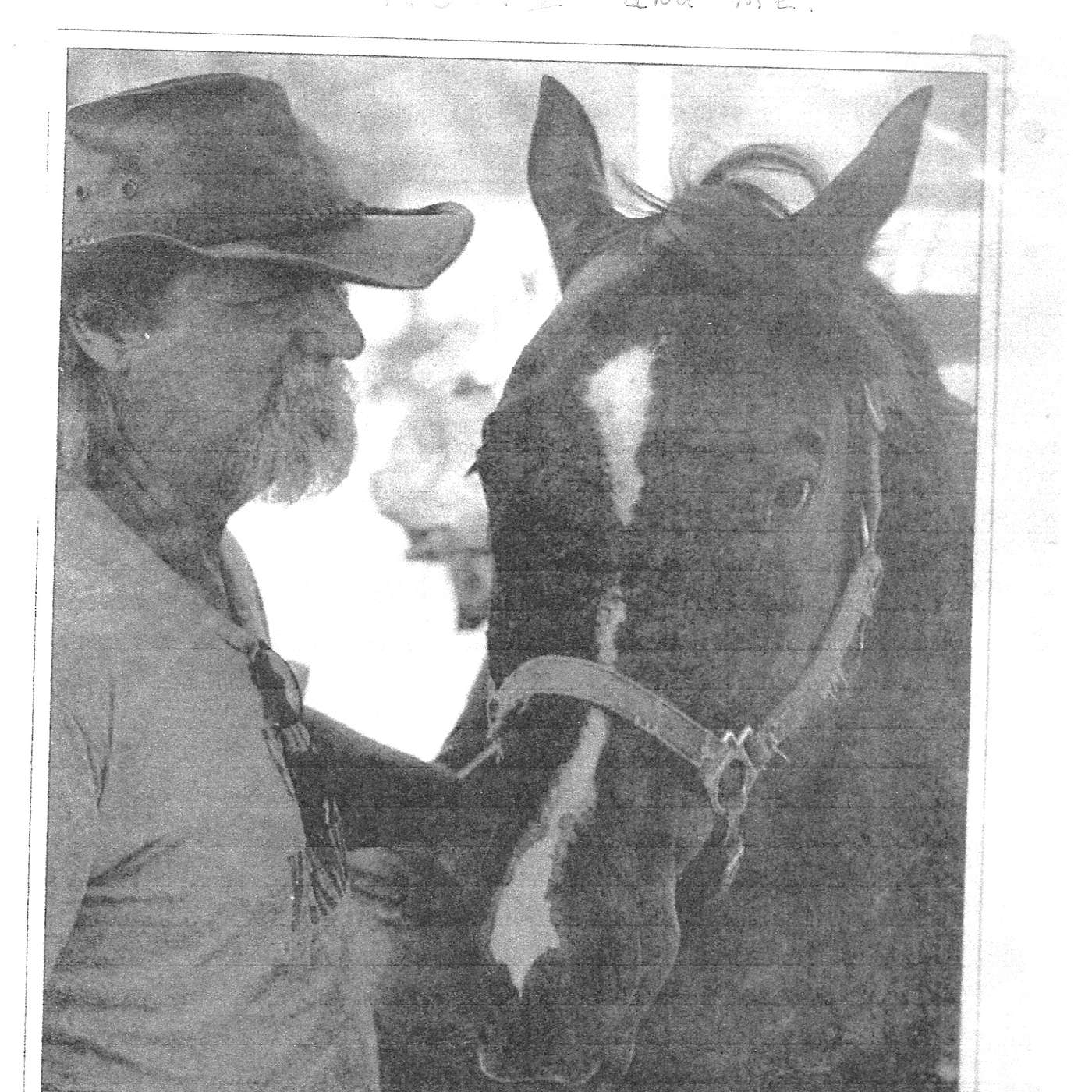 MULE TALK! THE PODCAST ABOUT MULES, MULE TRAINING, AND THE MULE INDUSTRY.