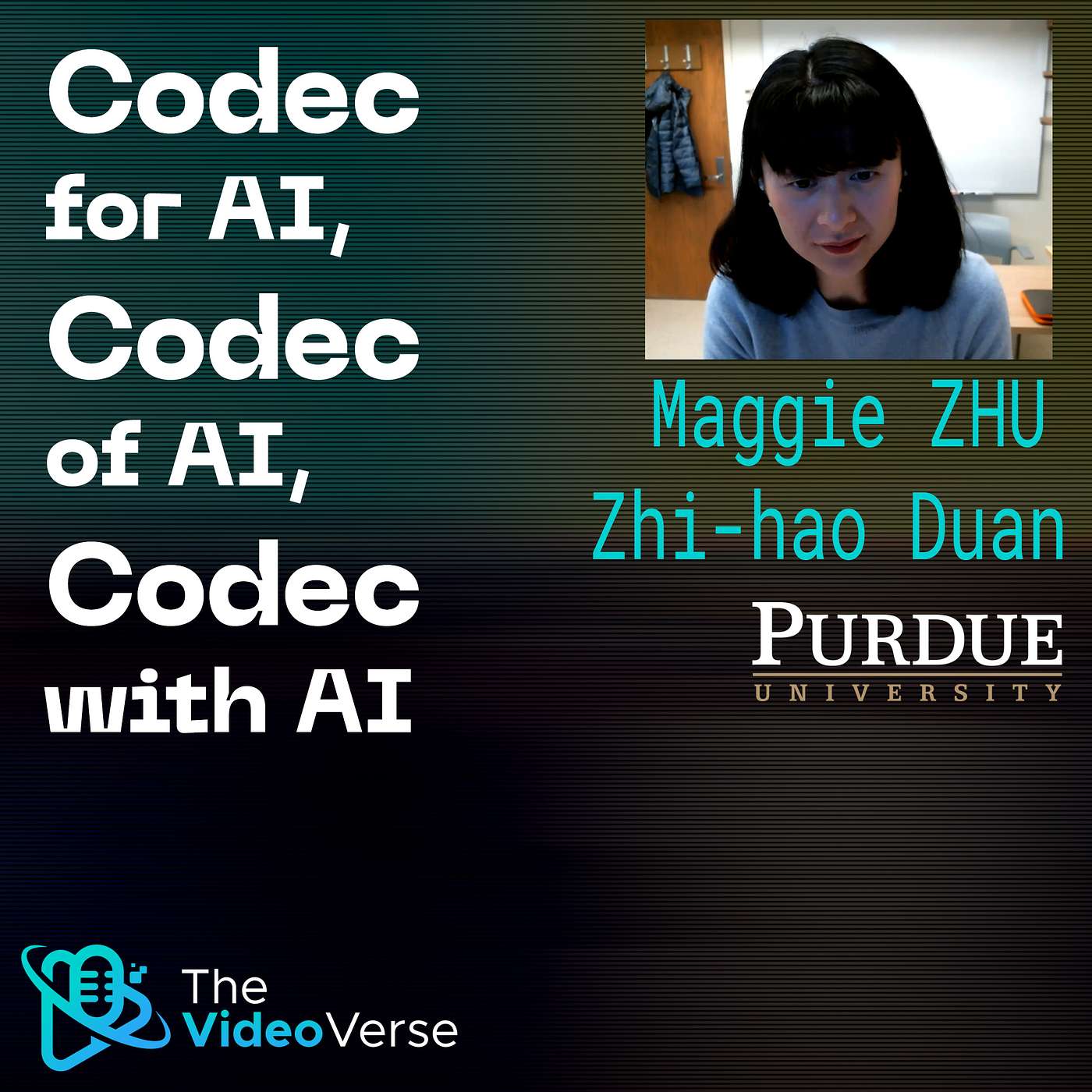 TVV Ep 14 - Codec for AI, Codec of AI, Codec with AI