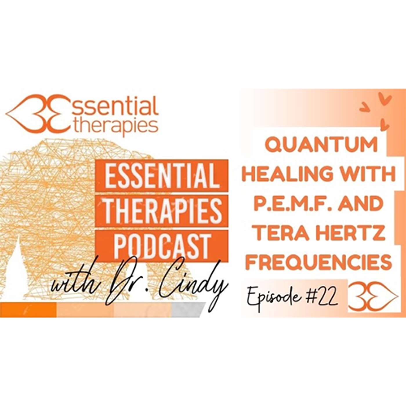 Episode 22 - Quantum Healing P.E.M.F and Tera Hertz Frequencies