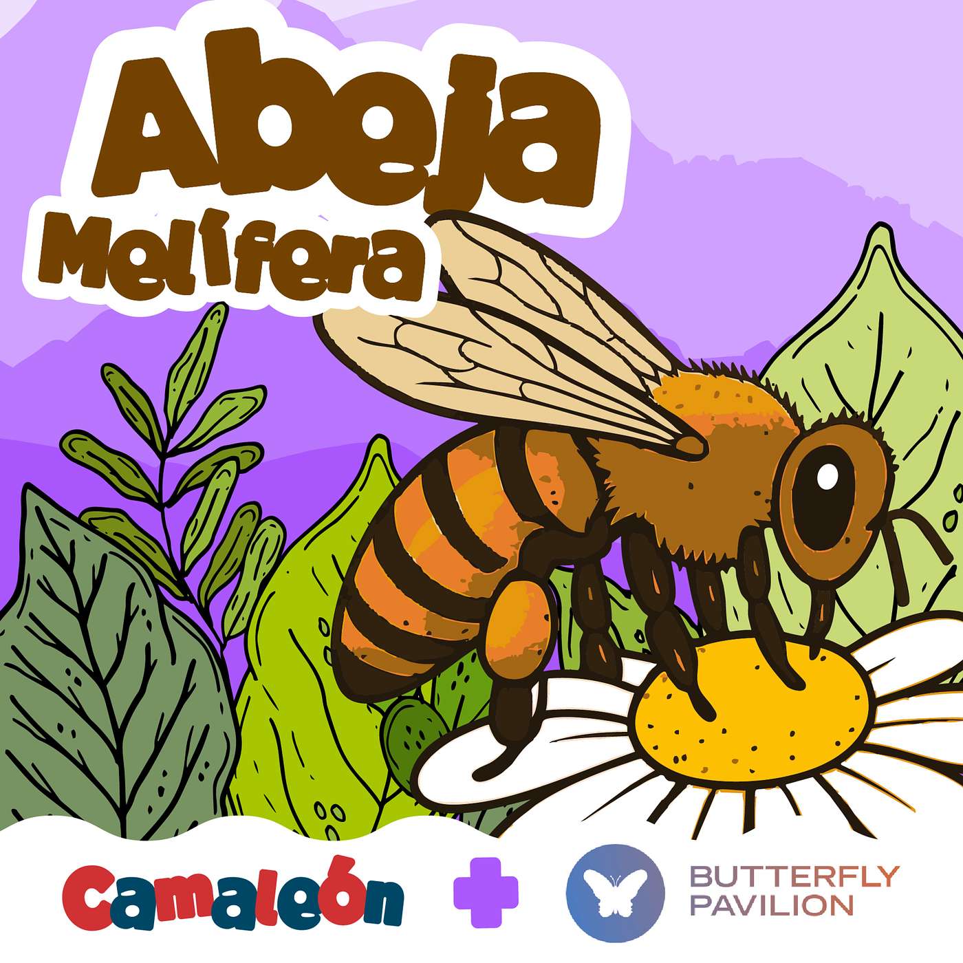 Abejas melíferas: Las que bailan para hablar episode artwork