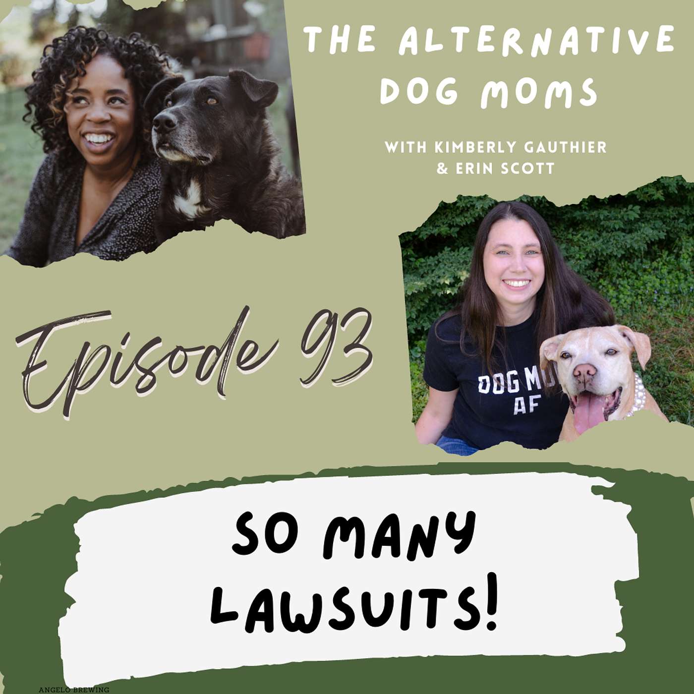 Two Dog Moms Talking About Lawsuits in the Pet Community