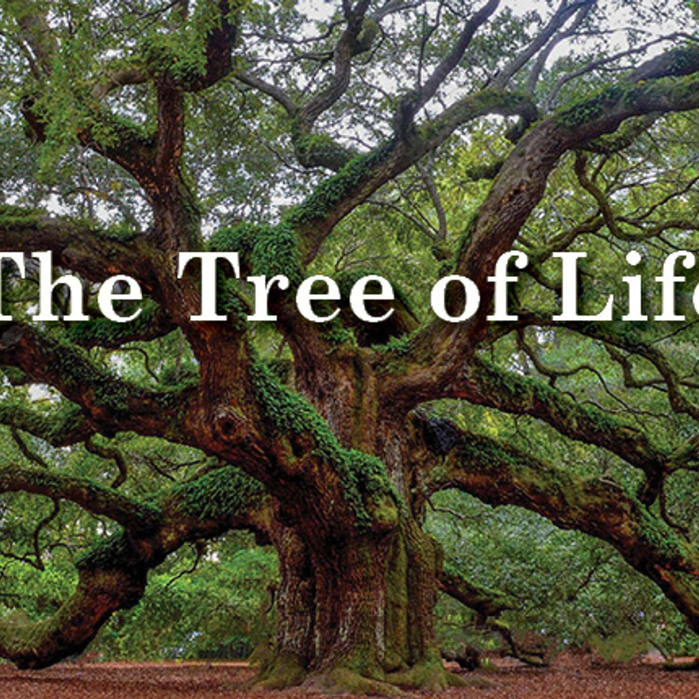 UU Congregation at Shelter Rock Services