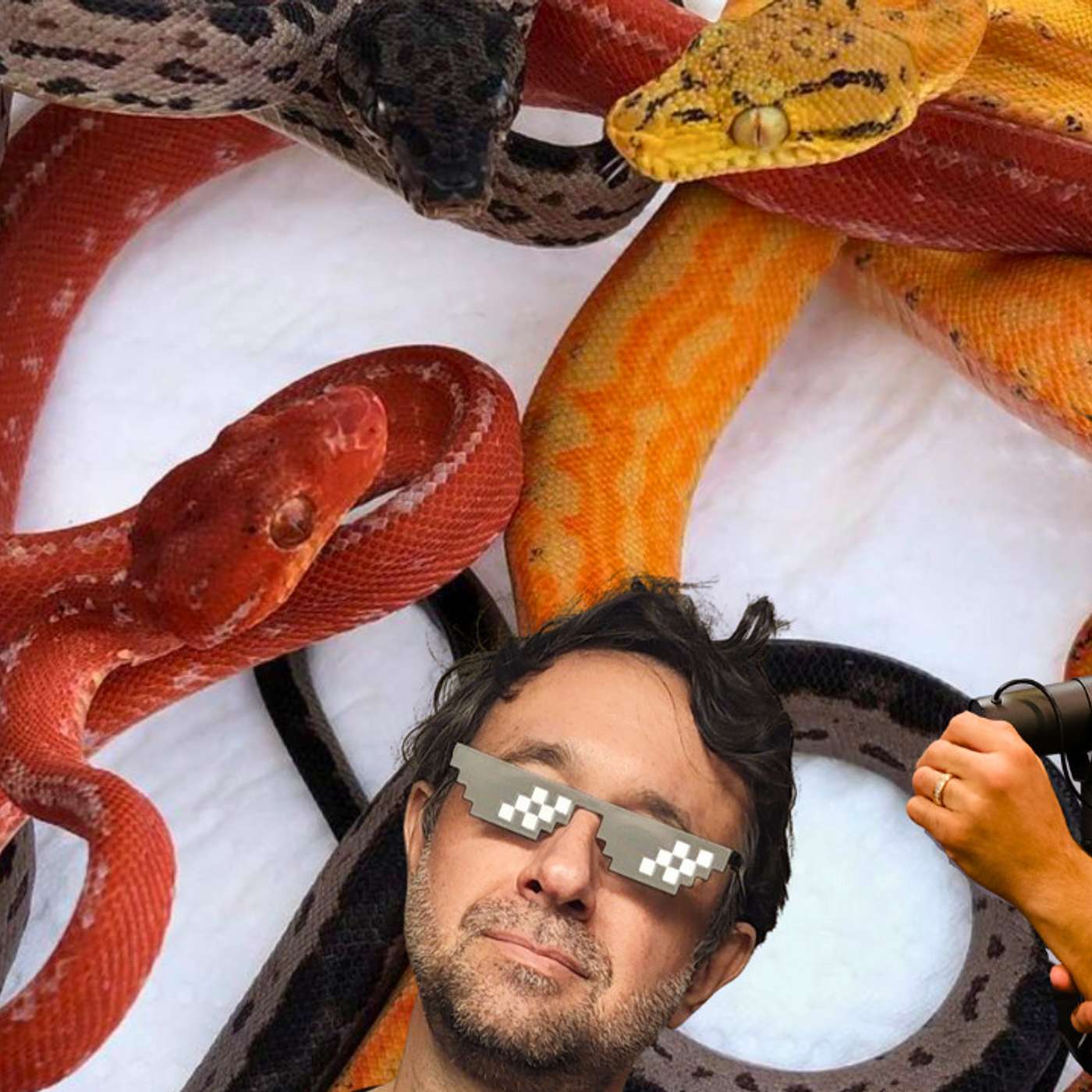 Very First Elite Amazon Tree Boa Talk | Dayton Croydon & Marcial Mendez