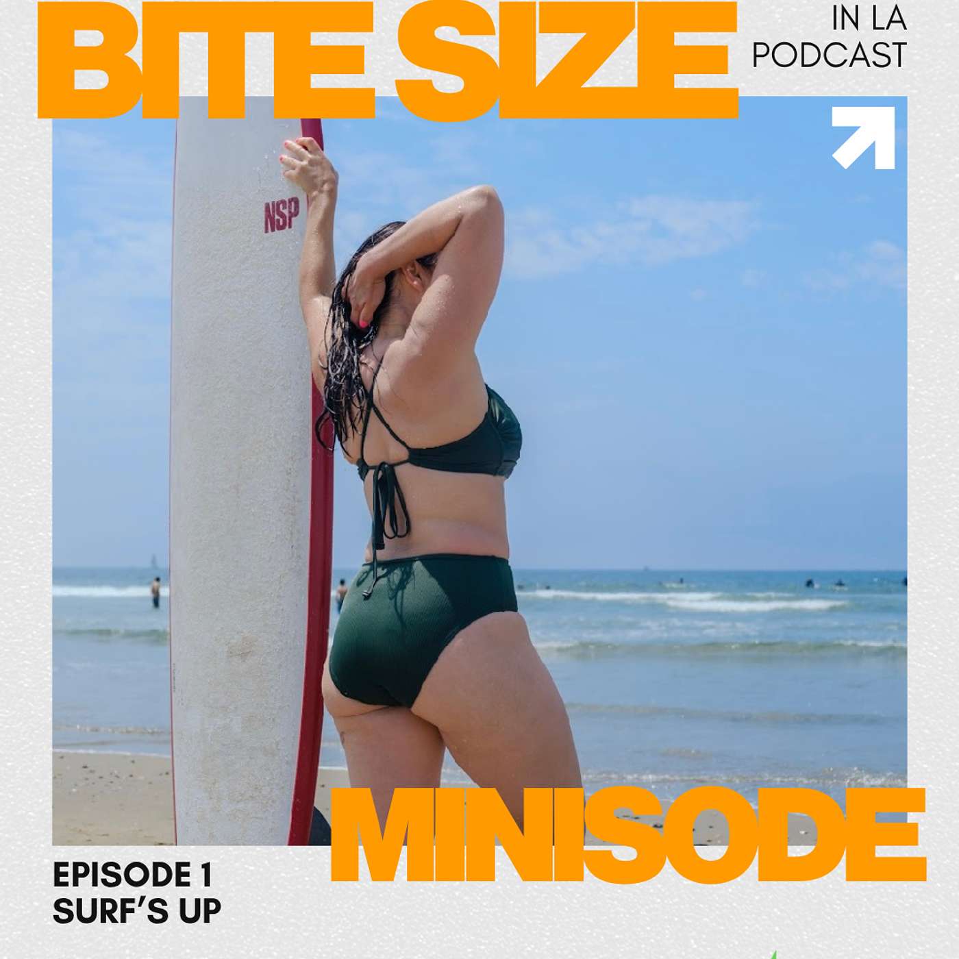 Bite Size Minisode - Episode 1 | Surf's Up episode artwork