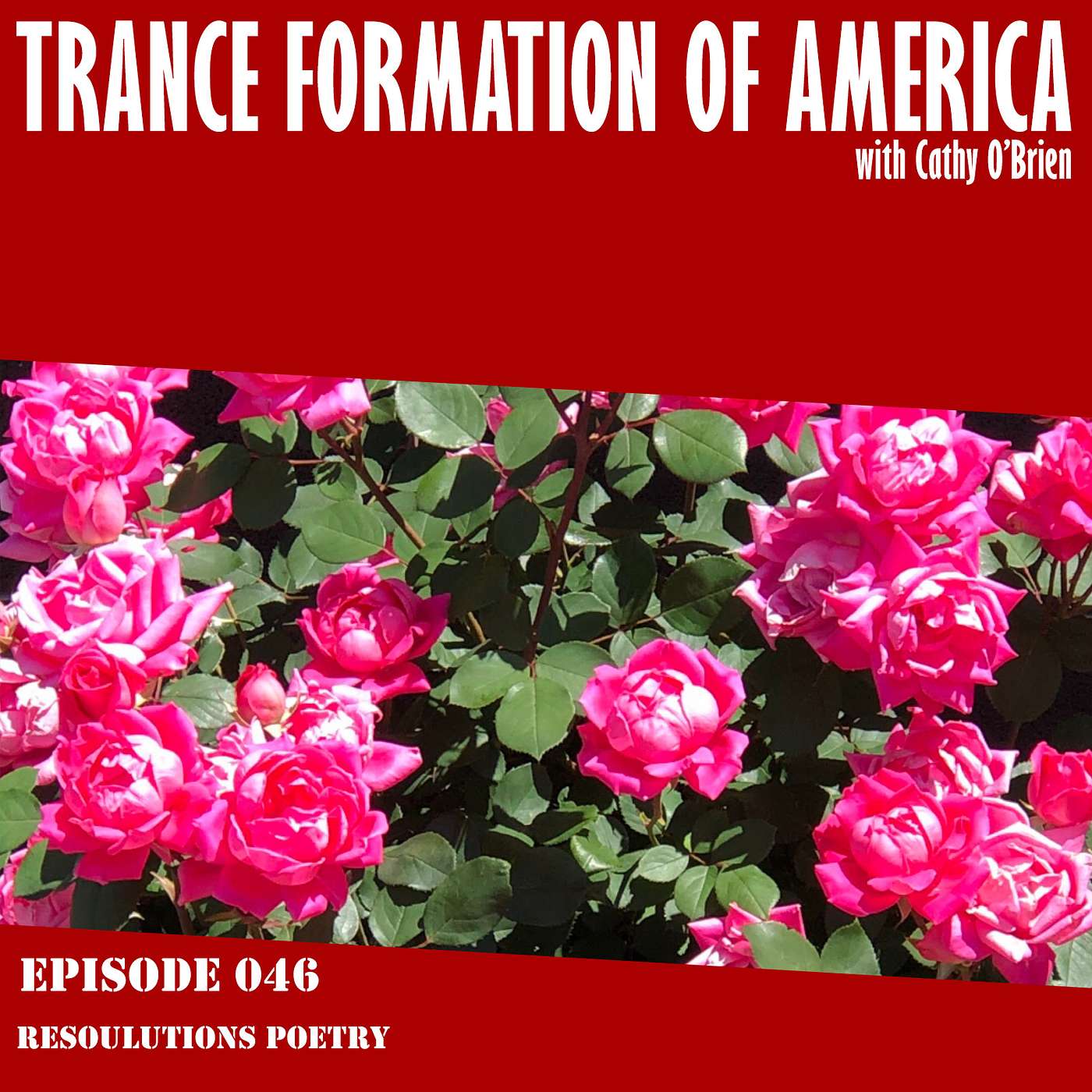 Trance Formation Podcast