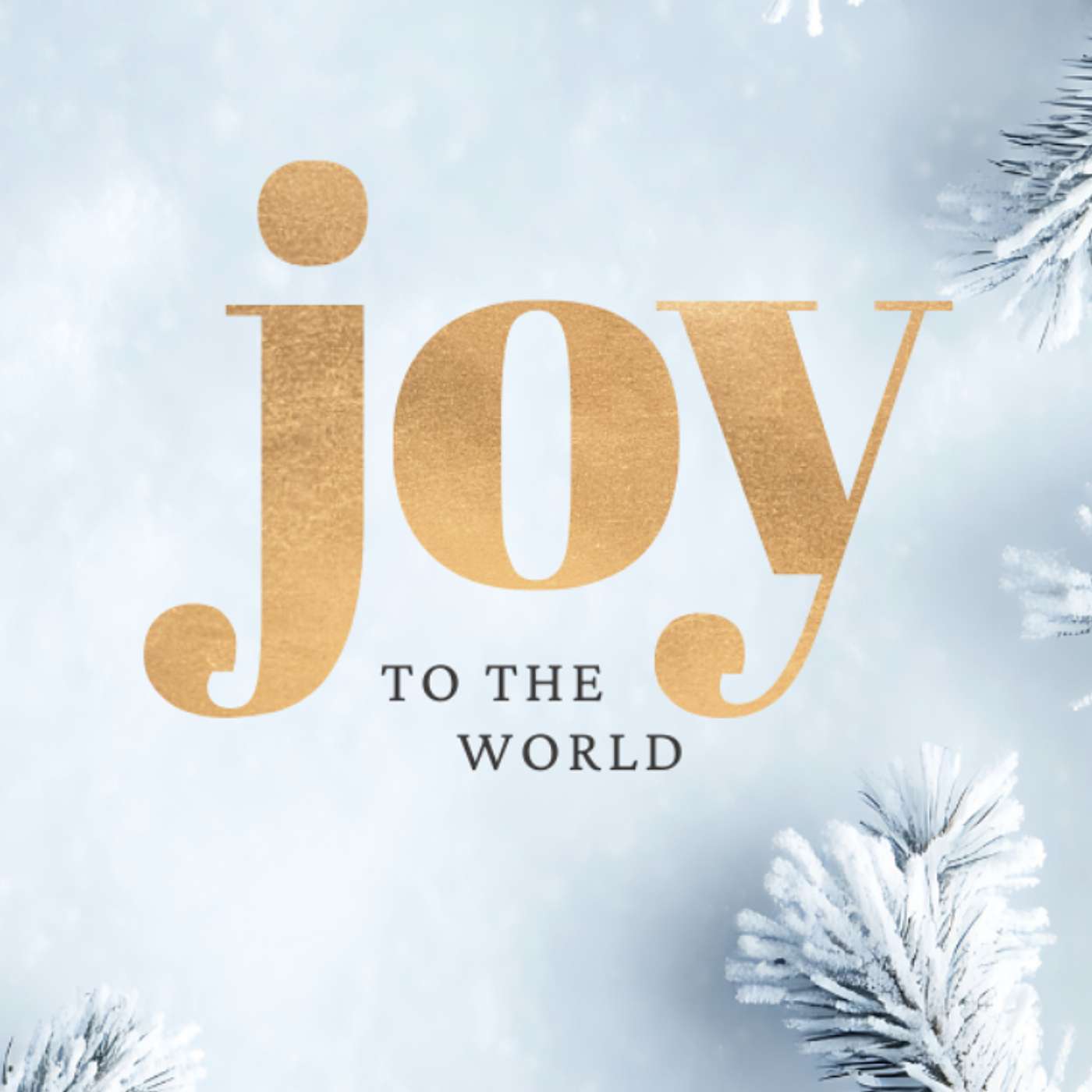 Vreugdevol Toeleven Naar Kerst (Bijna Kerst - Week 3) [Kerstdienst]