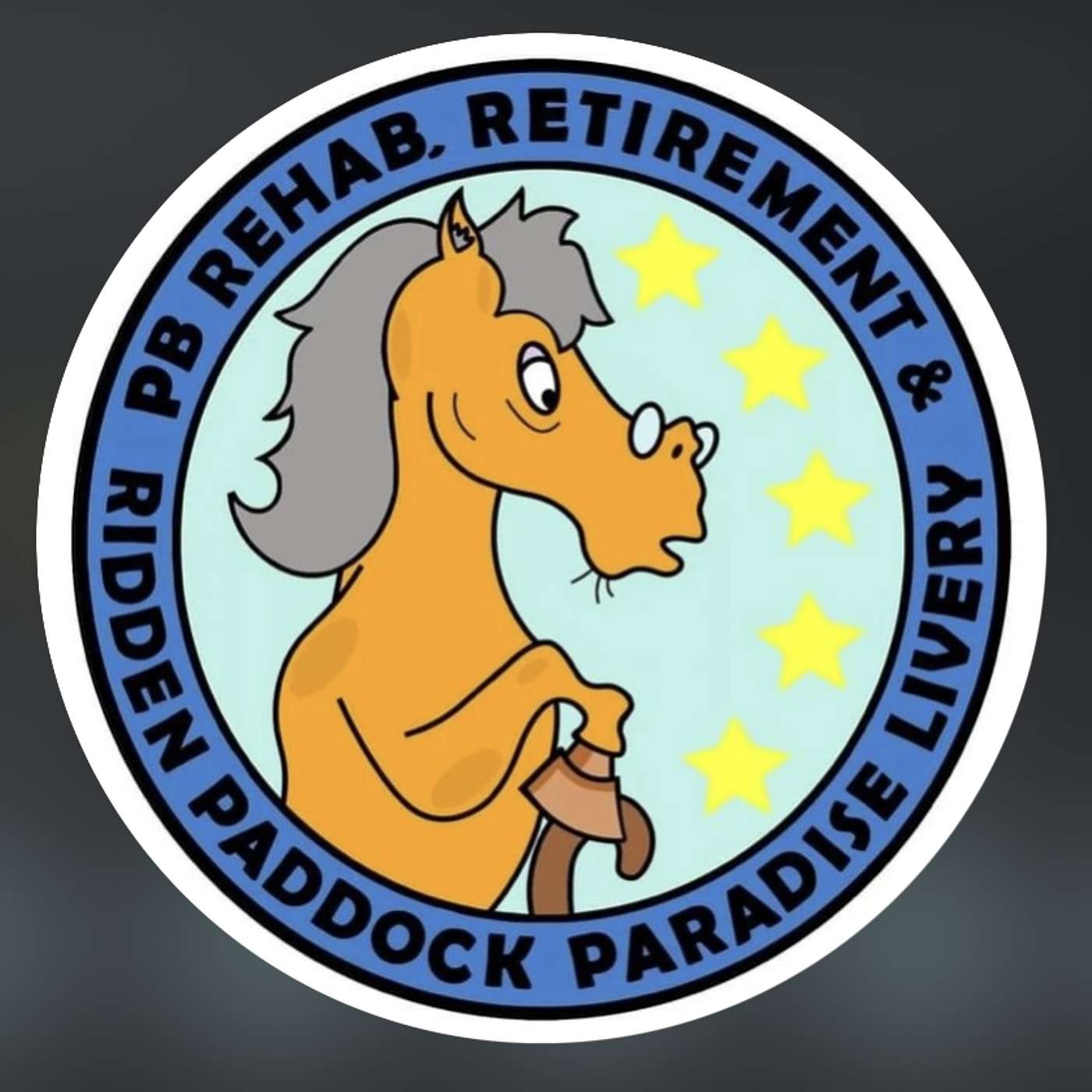 #22 Interview with PB Paddock Paradise livery