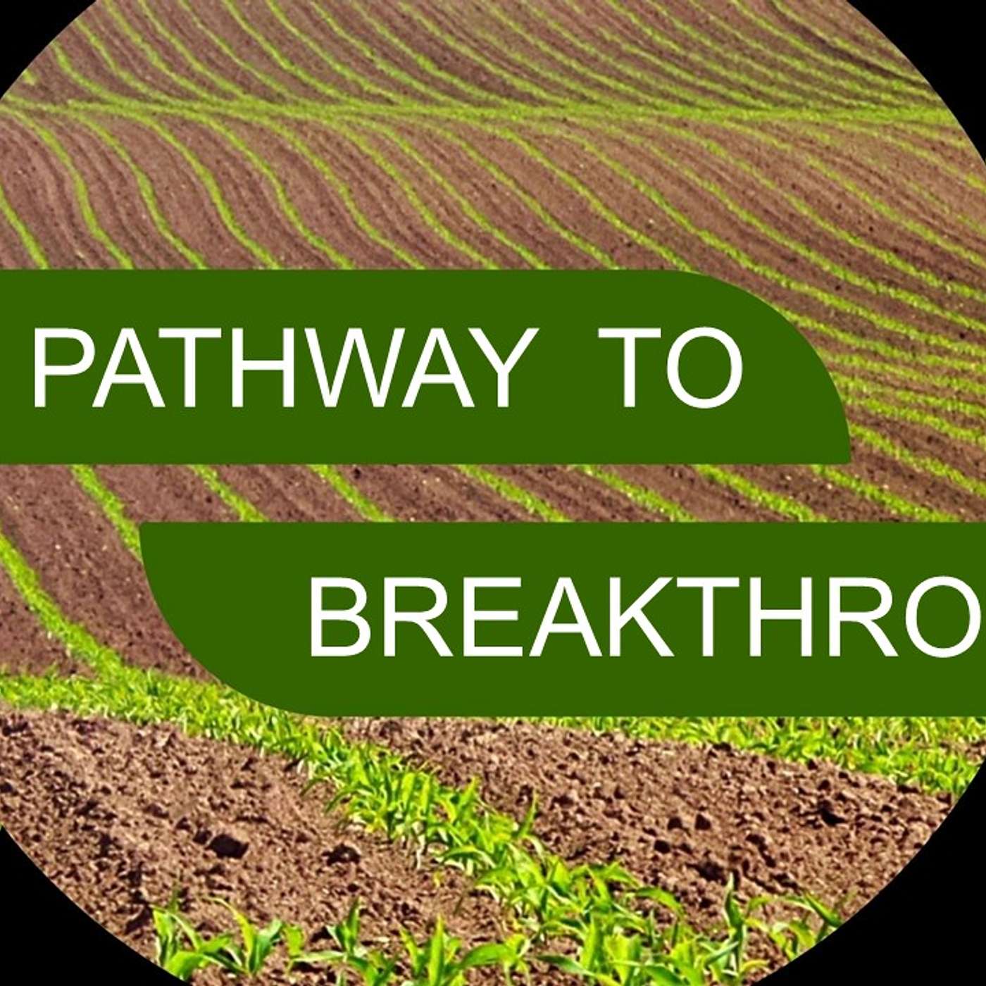 #1 - The Pathway to Breakthrough - Wayne Wilson