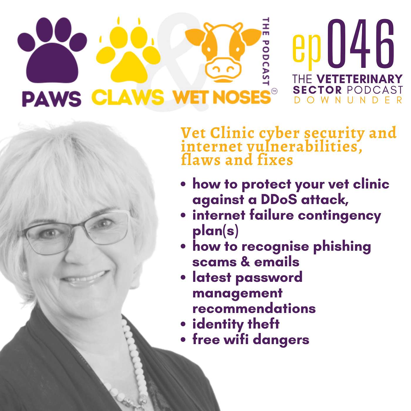 Vet clinic internet and cyber security protection flaws and fixes - ep 046
