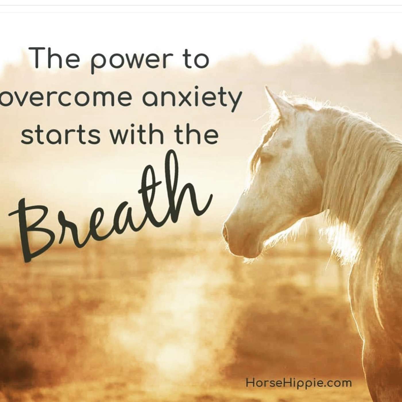 The Power of Your Breath episode artwork