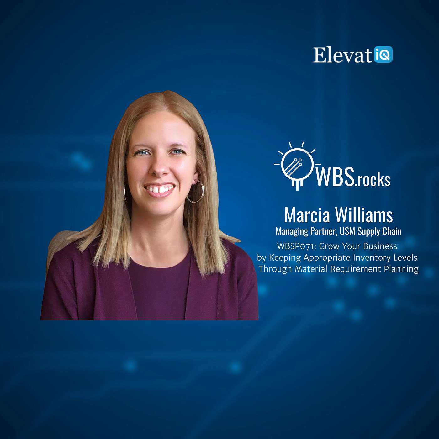 WBSRocks: Business Growth with Enterprise Software and Digital Transformation