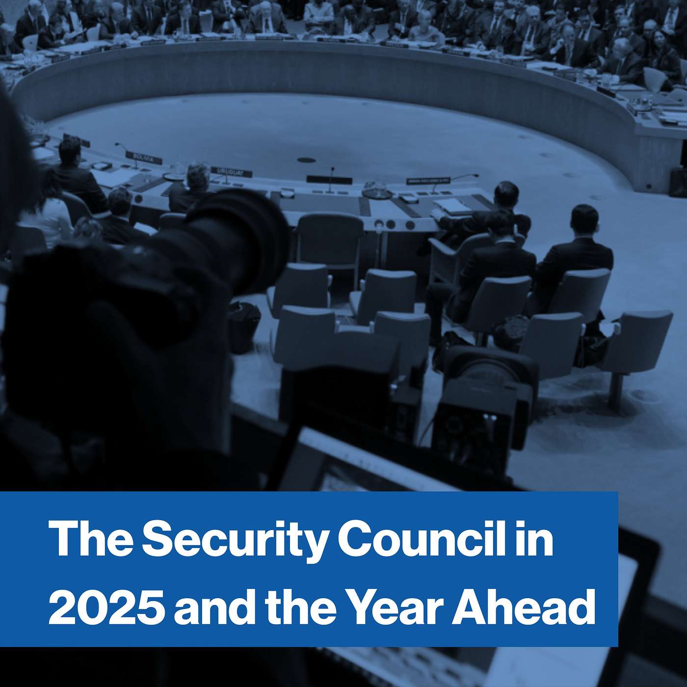 The Security Council in 2025 and the Year Ahead