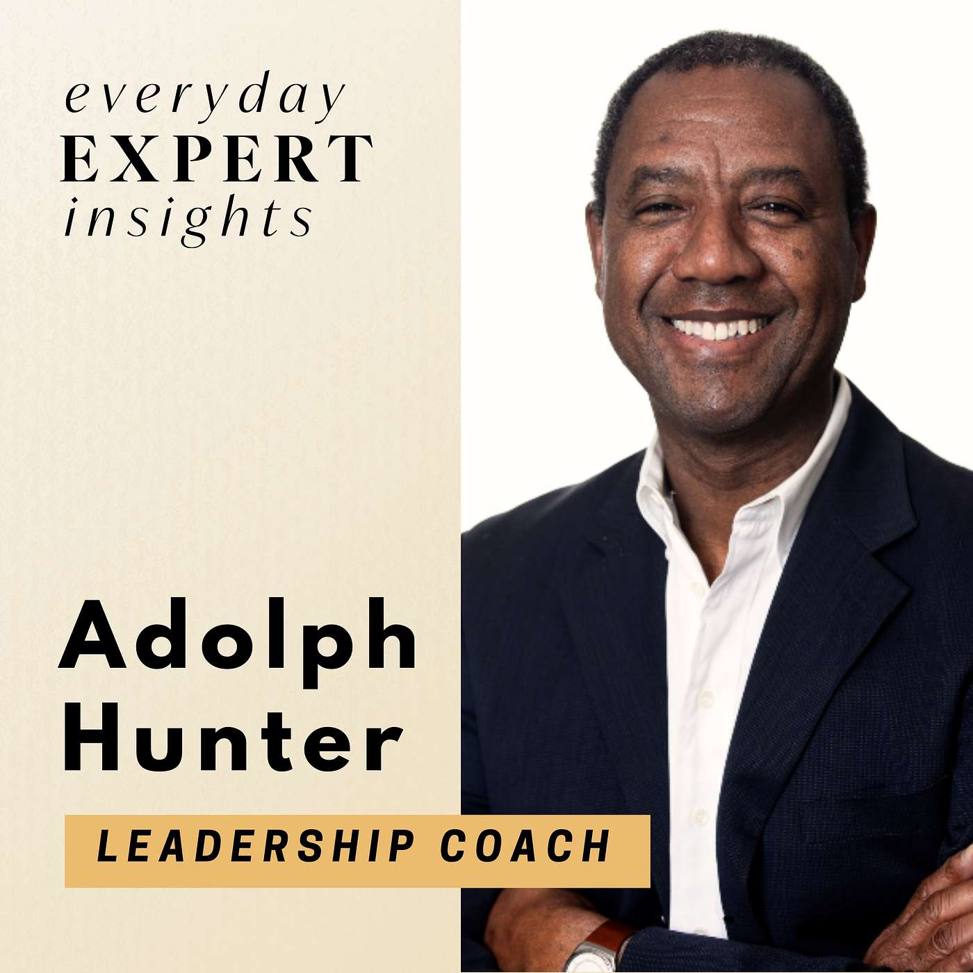 Everyday Expert Insights