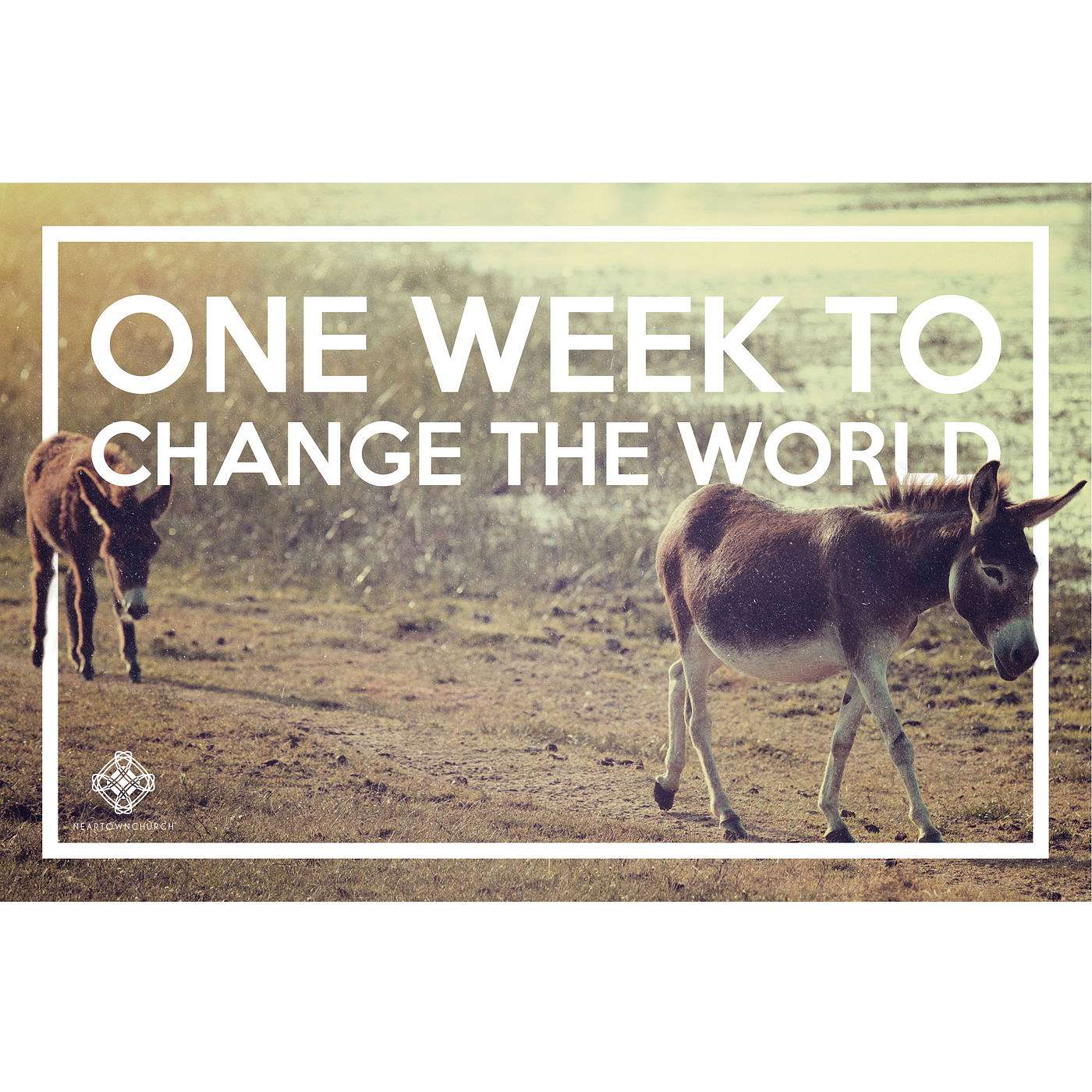 One Week to Change the World: Sunday (Matt 21:1-17) episode artwork