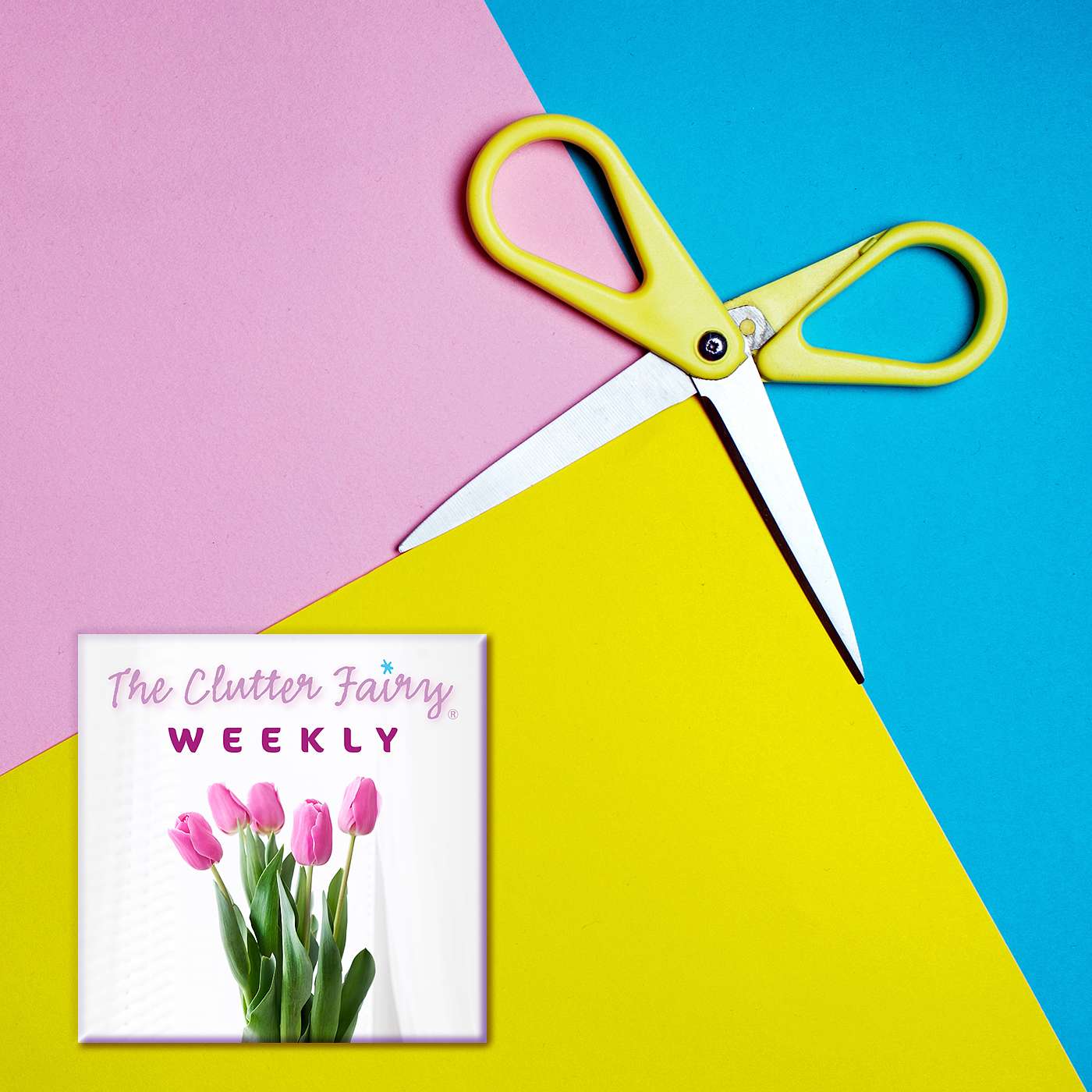 The Right Stuff: Assemble Your Decluttering and Organizing Toolkit - The Clutter Fairy Weekly #292