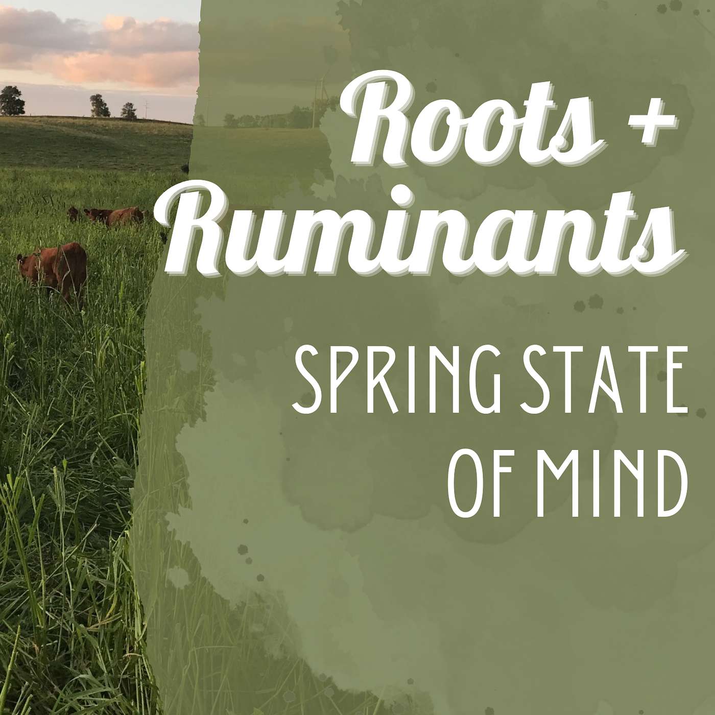 Spring State of Mind episode artwork