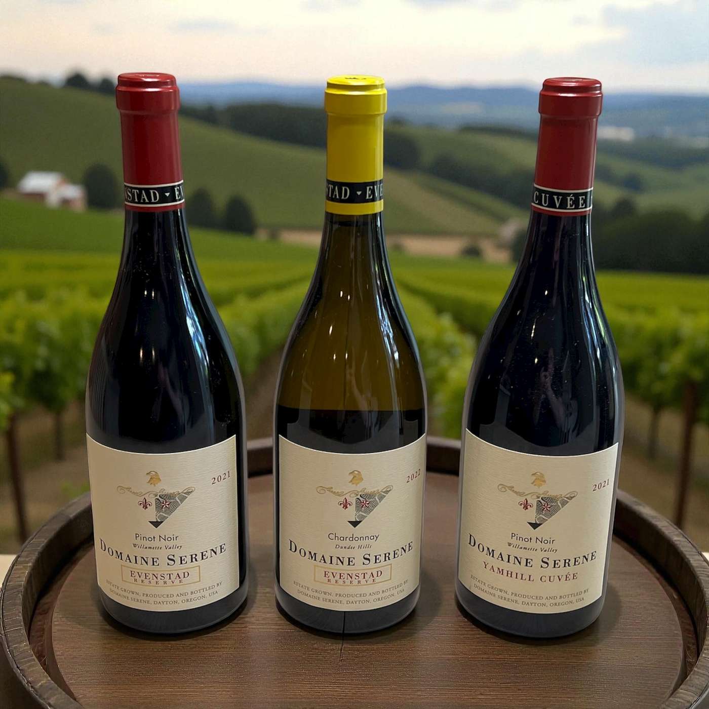 Everybody needs a Carl PROMO