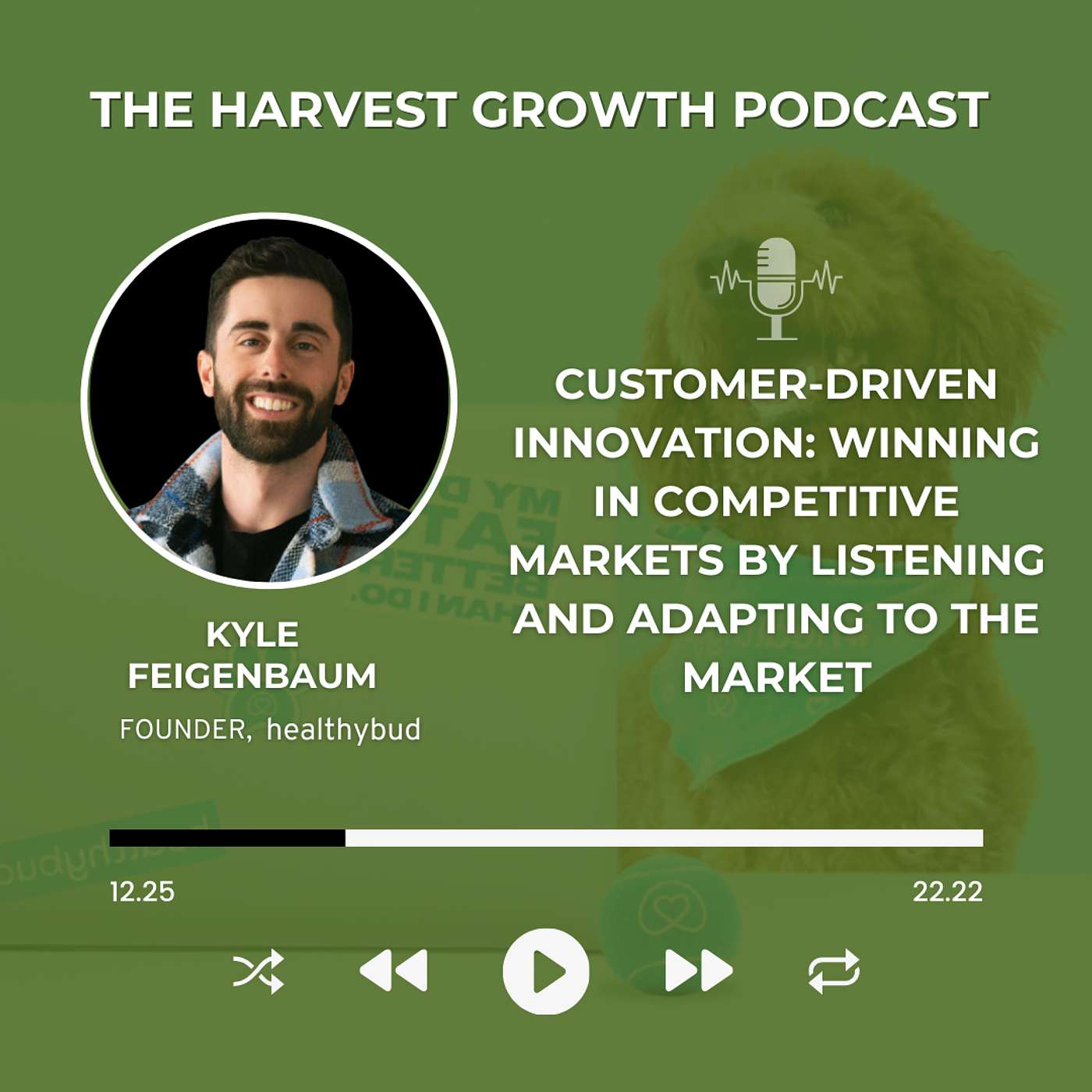 Customer-Driven Innovation: Winning in Competitive Markets by Listening and Adapting to the Market