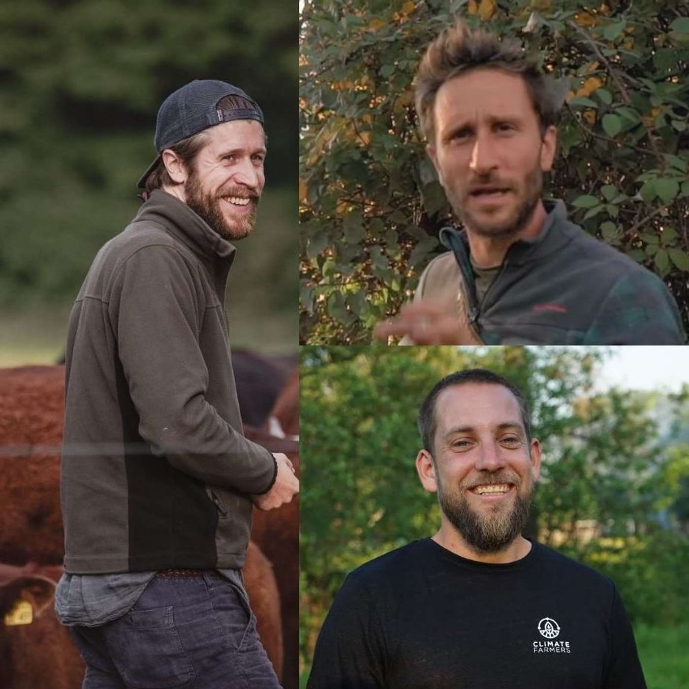Investing in Regenerative Agriculture and Food