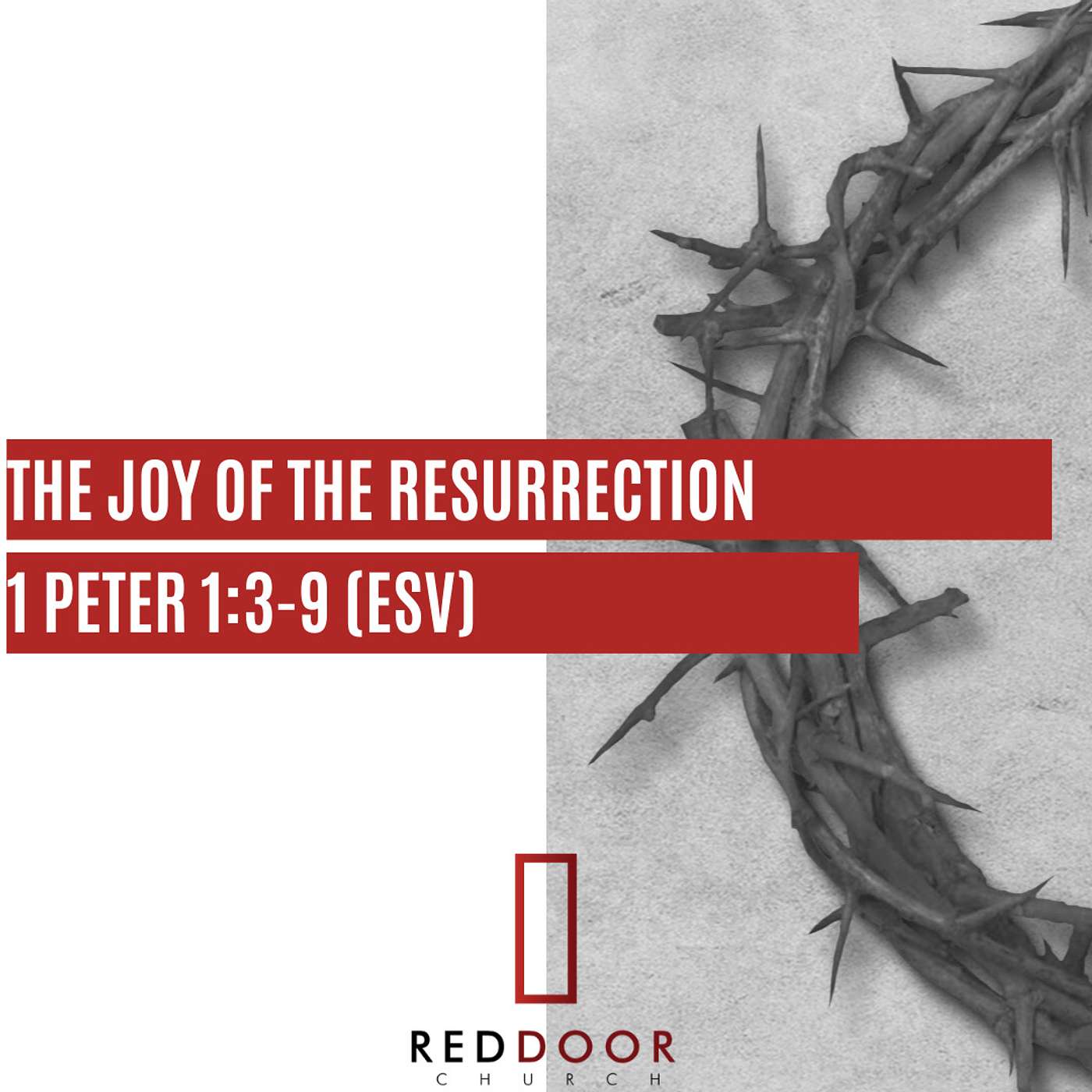 The Joy of the Resurrection (1 Pet. 1:3-9) episode artwork