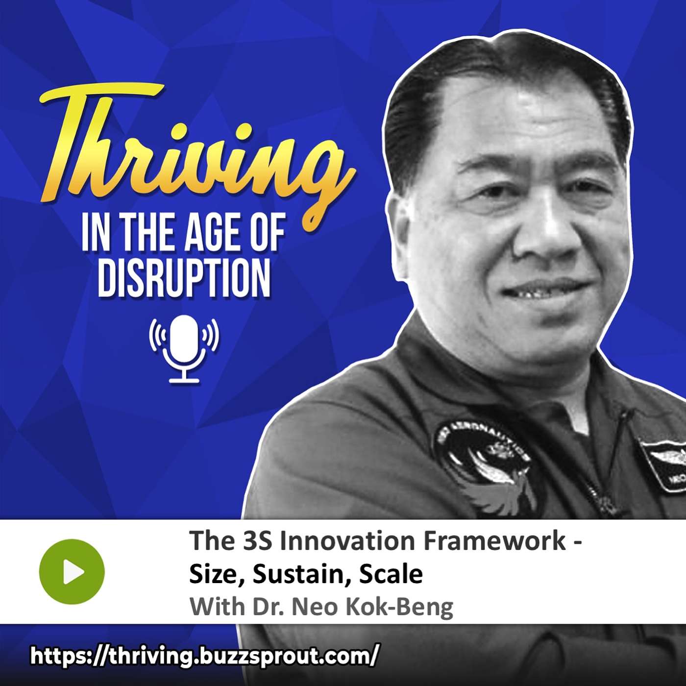 Thriving in the Age of Disruption