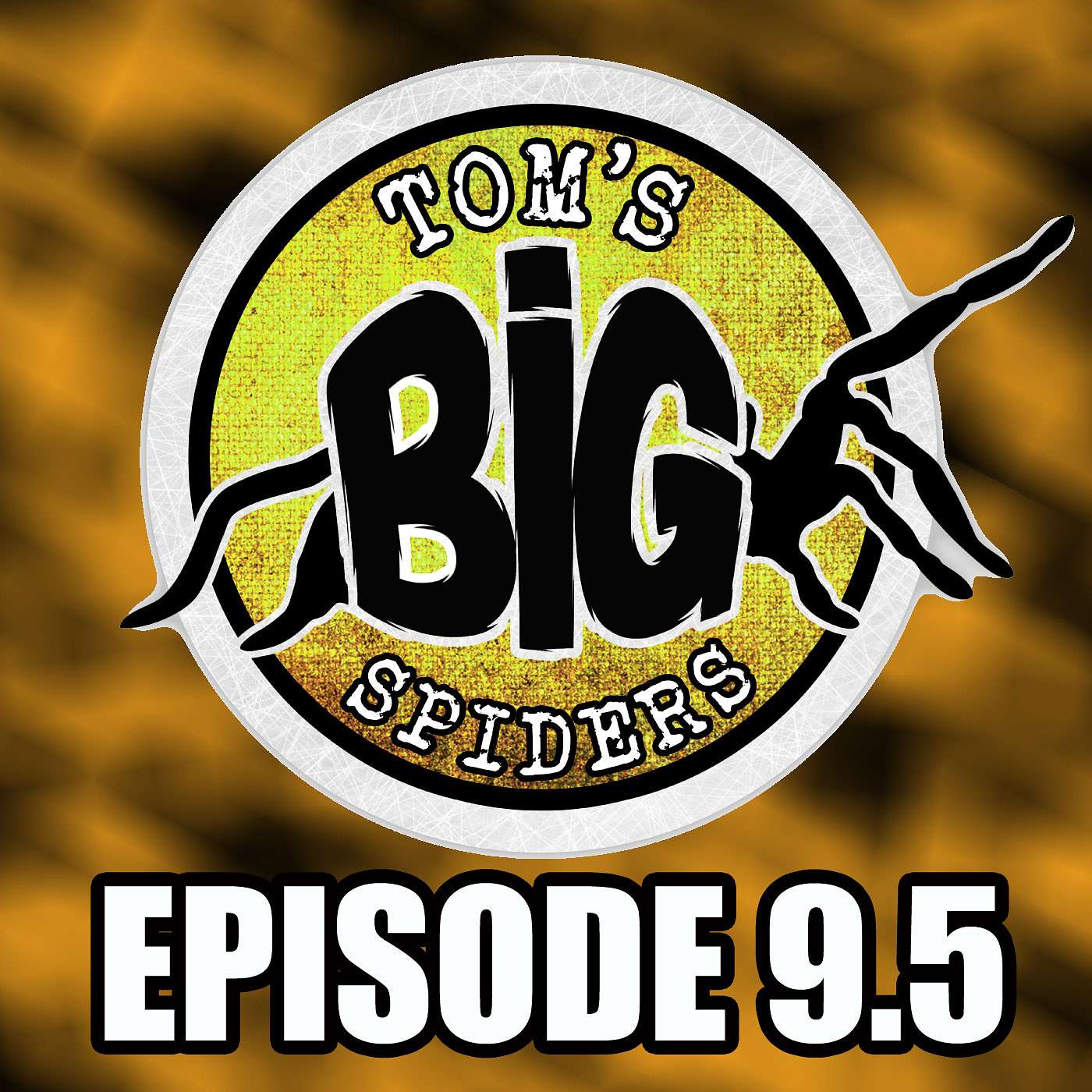 The "Confounding" Caribena versicolor Care and Tips The "Confounding" Caribena versicolor Care and Tips