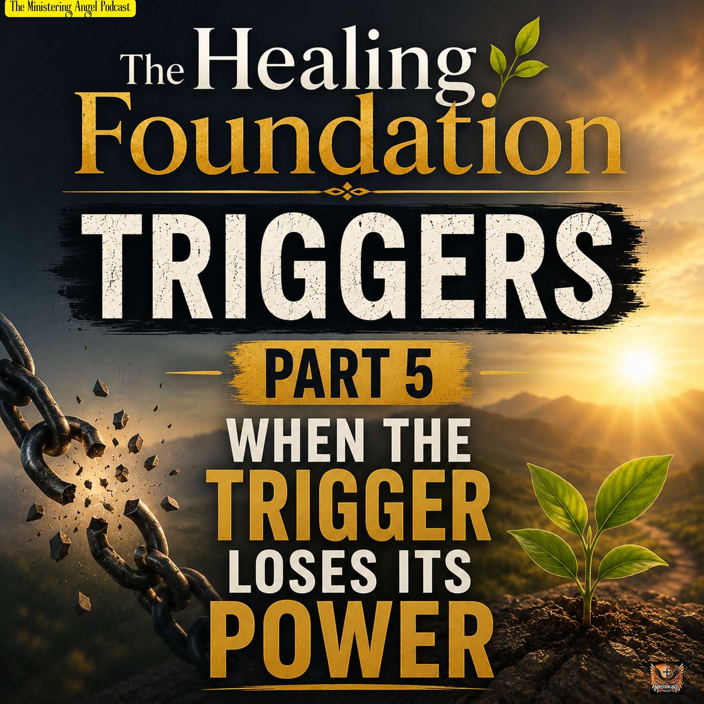 The Healing Foundation: Triggers  Part 5: When the Trigger Loses Its Power episode artwork