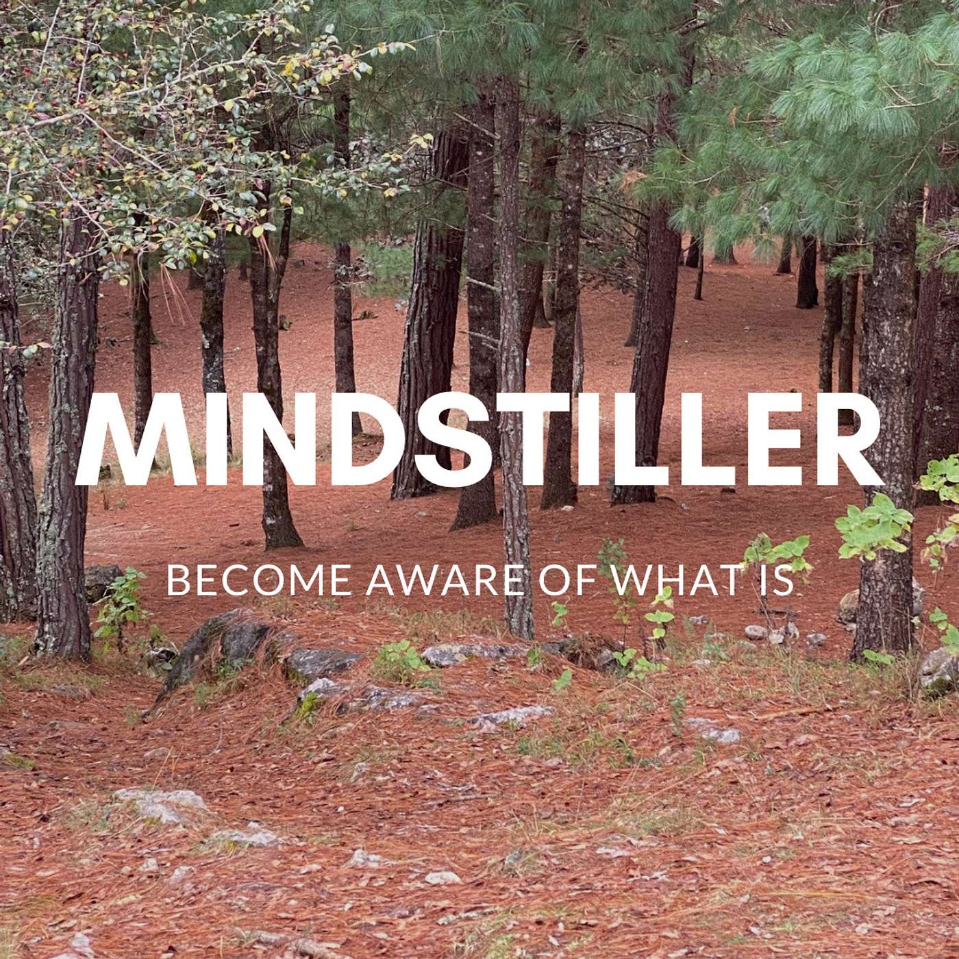Mindfulness practice
