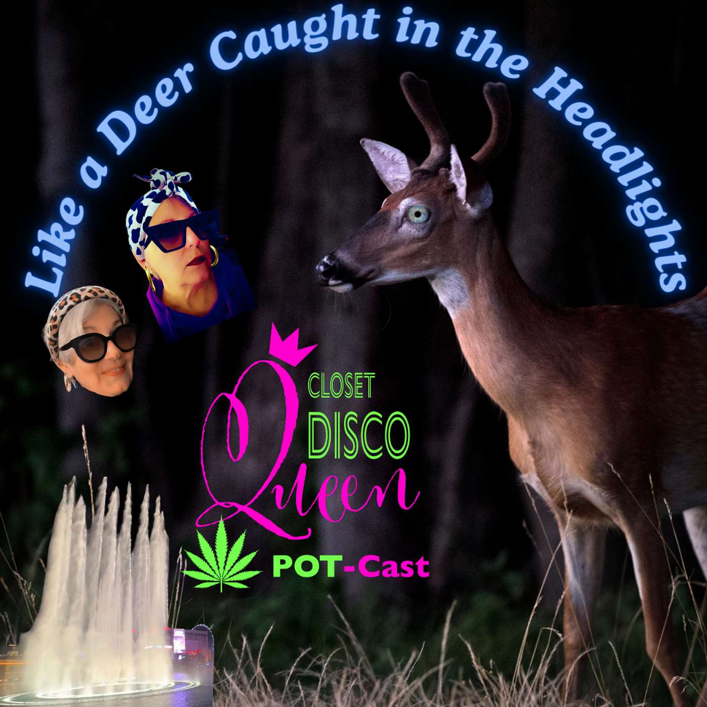Unfiltered Midlife Moments & Cannabis Wisdom | Like A Deer Caught in The Headlights . . . episode artwork