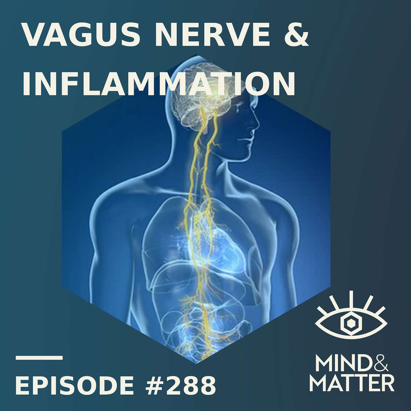 Vagus Nerve Stimulation & Inflammation | Kevin Tracey | 288 Vagus Nerve Stimulation & Inflammation | Kevin Tracey | 288