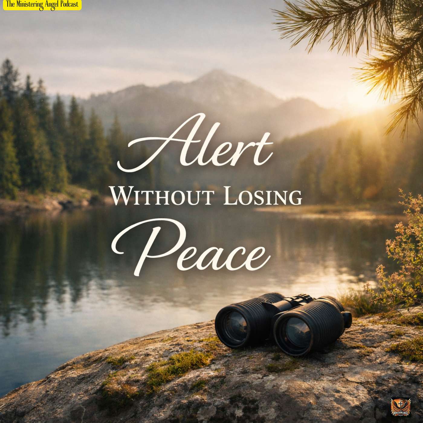 Alert Without Losing Peace!