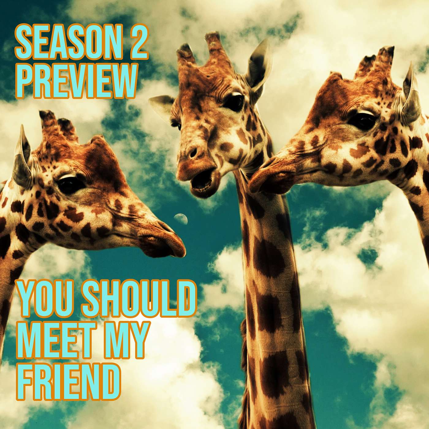 You Should Meet Season Two!