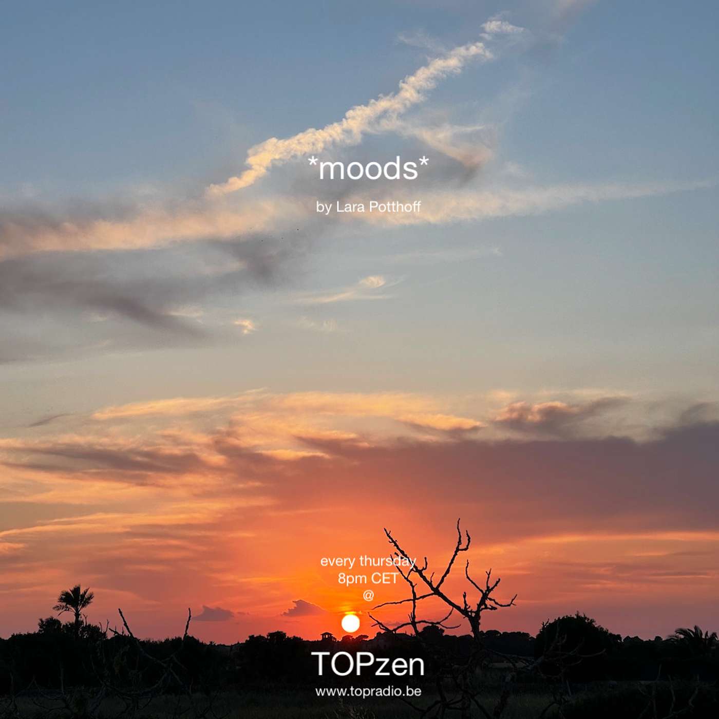 *moods* by Lara Potthoff @ TOPzen 08.06.2023