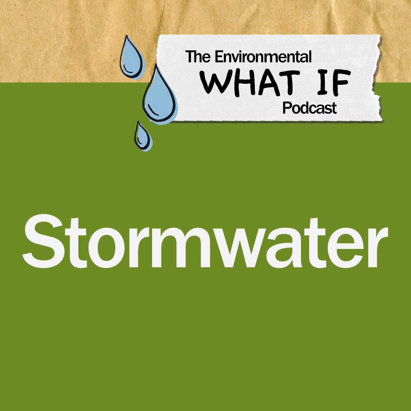 The Environmental What If Podcast: Stormwater episode artwork