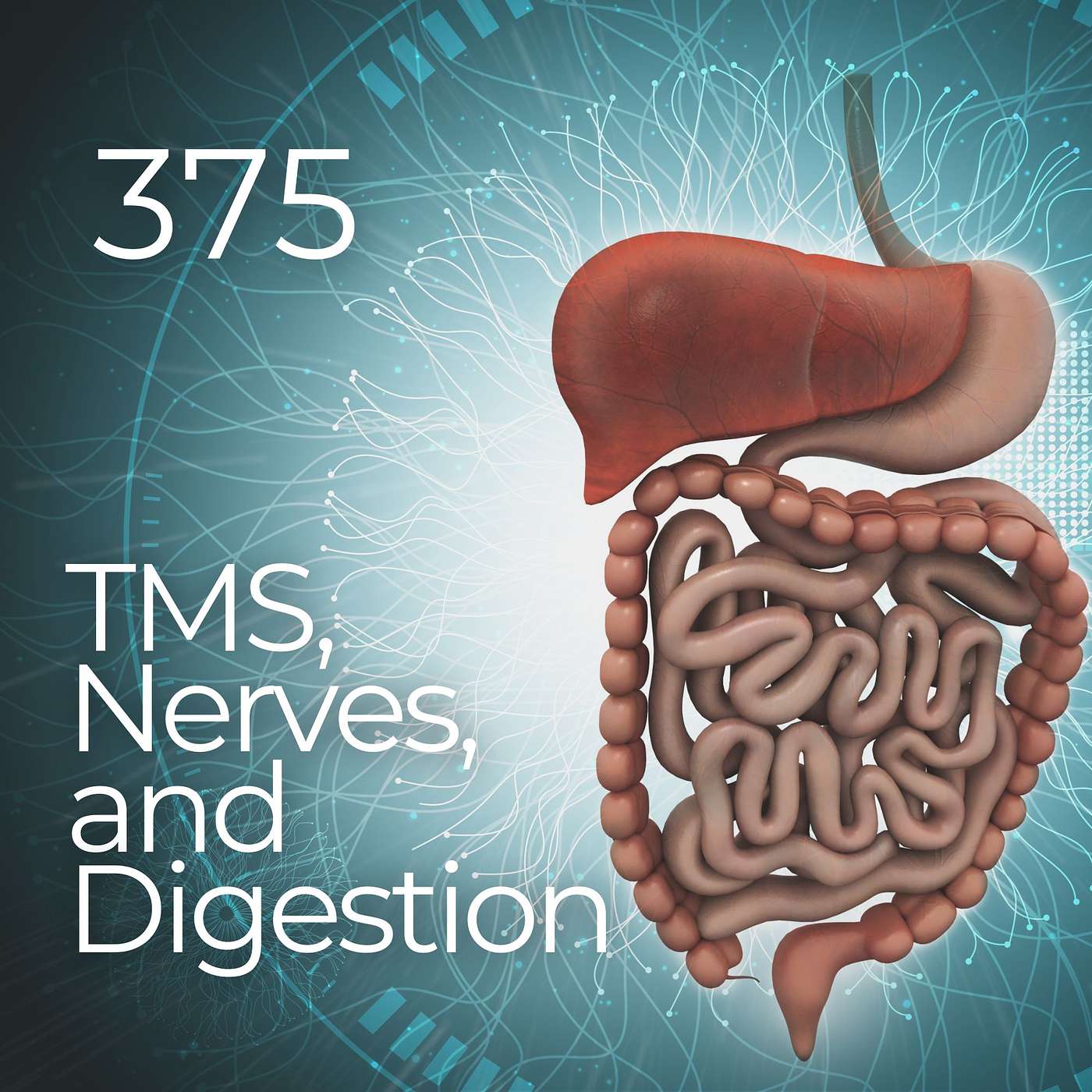 #375 - TMS, Nerves, and Digestion